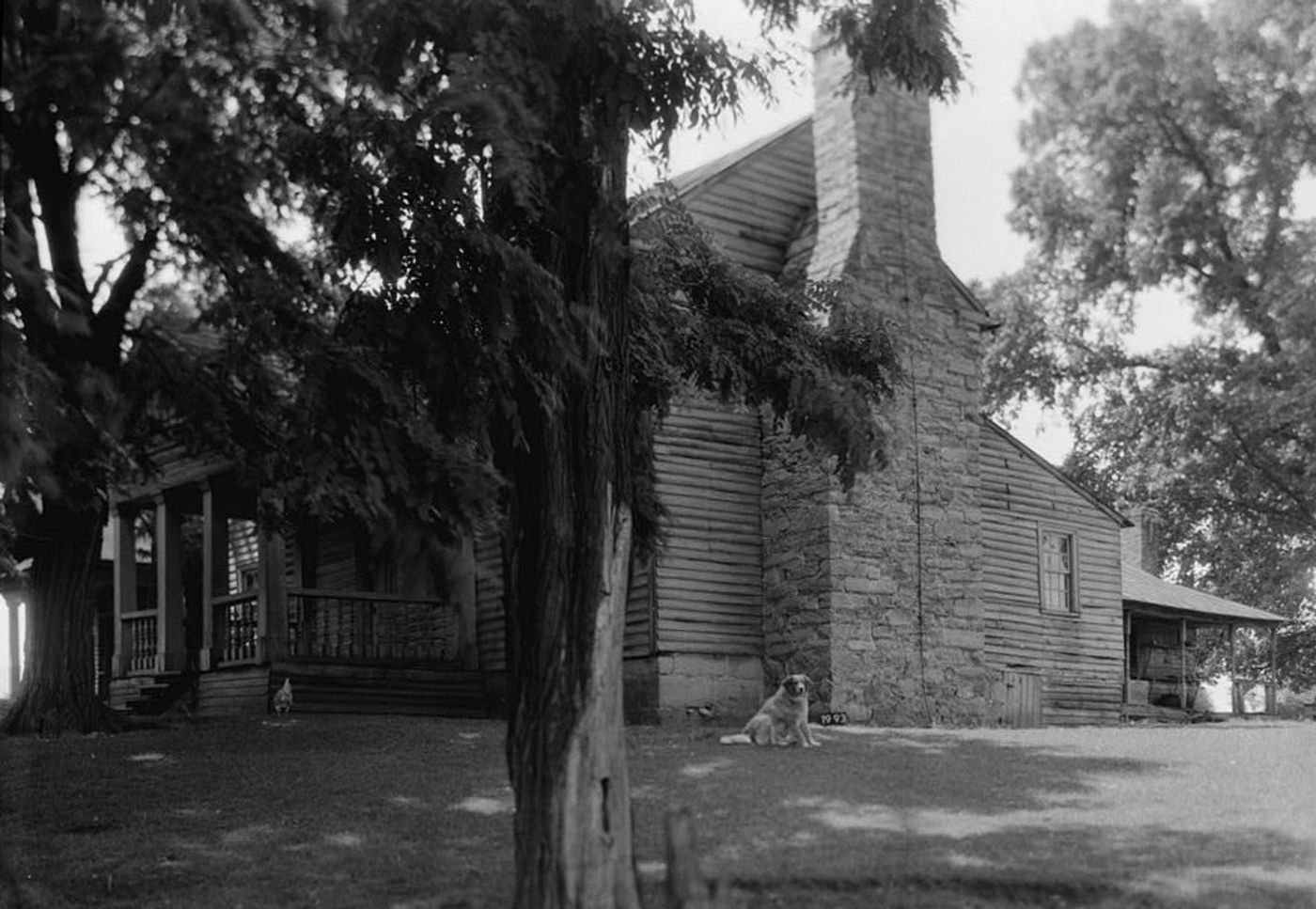 Black-and-white photograph of a two-story clapboard house with a massive stone chimney and a front porch, shaded by large trees, a dog lying on the grass beside the chimney