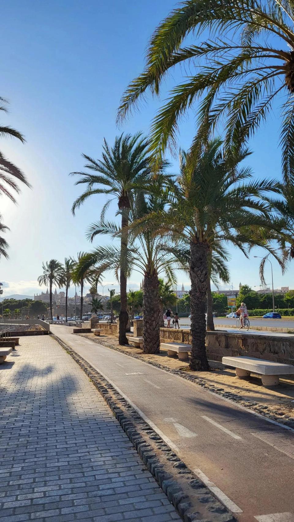 Mallorca — fotografia 8 din 14