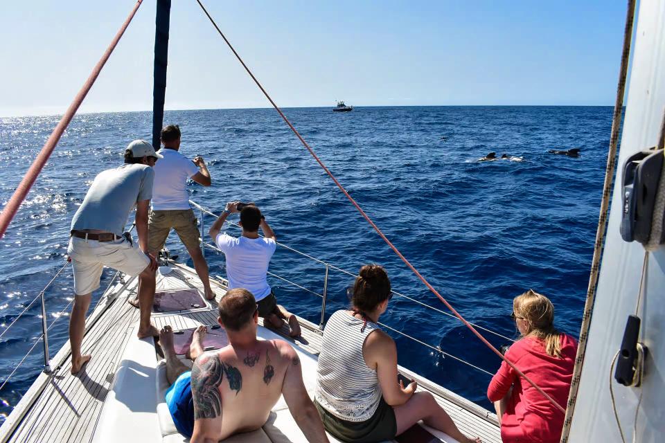 Atlantic Adventure Week – Tenerife — fotografia 4 din 9