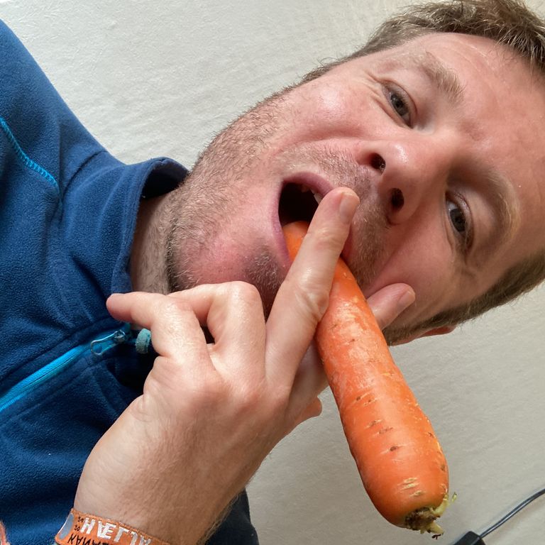 Cover image for Punkebjarte utvider - bli med på laget!