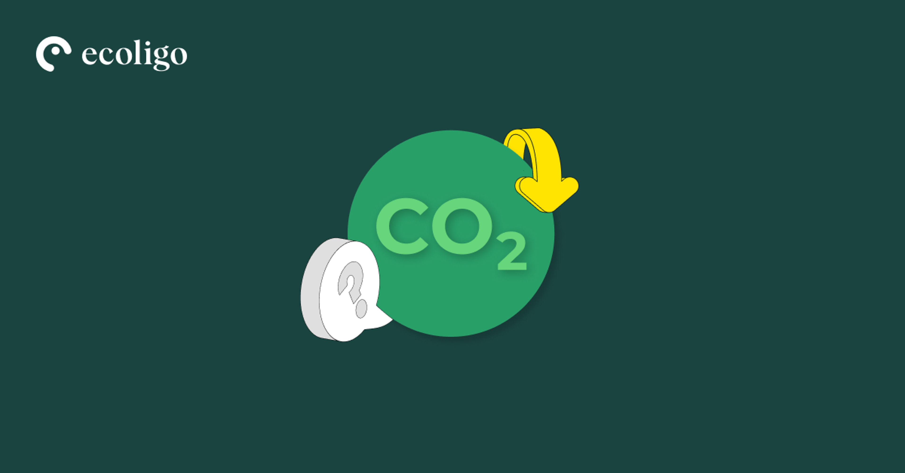 So kannst du deinen CO2-Fußabdruck reduzieren