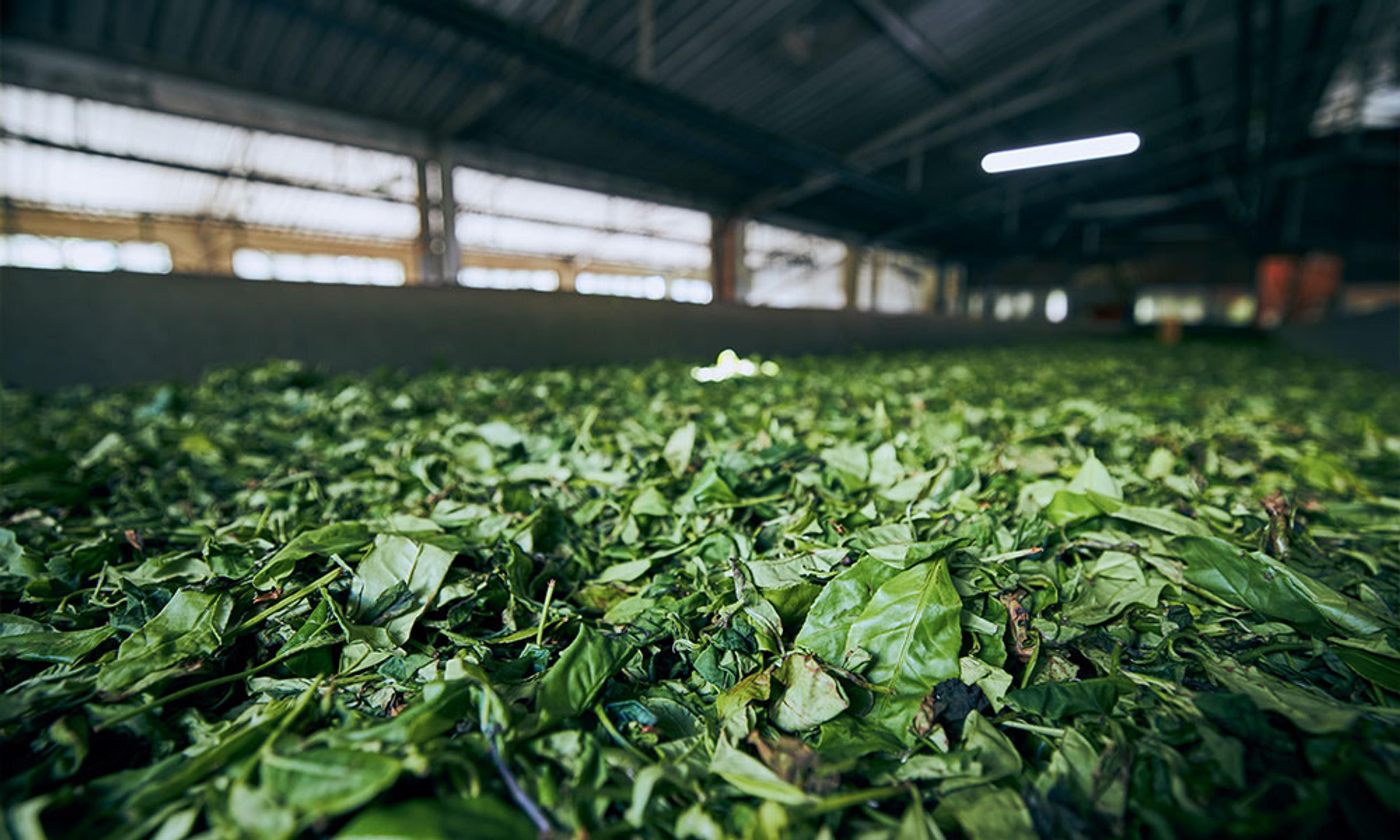 Zero Waste Küche: Einfache Ideen für zu Hause