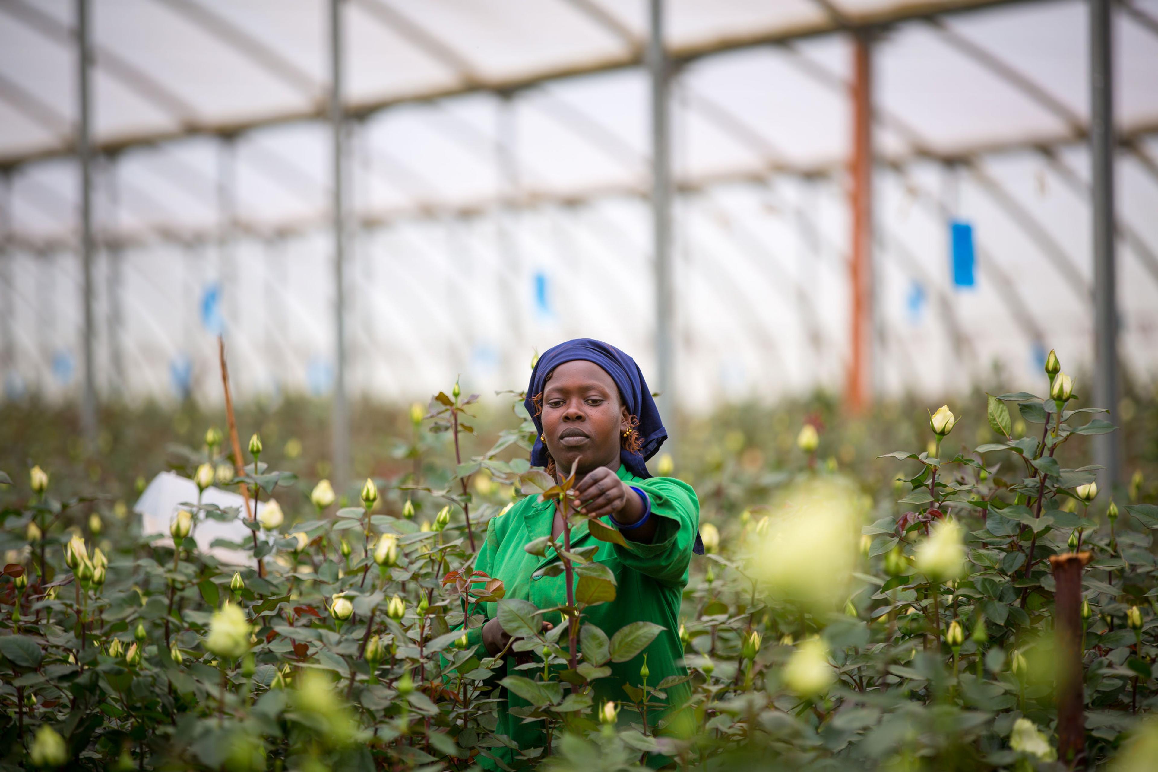 Nachhaltig leben: 10 Tipps für den Anfang