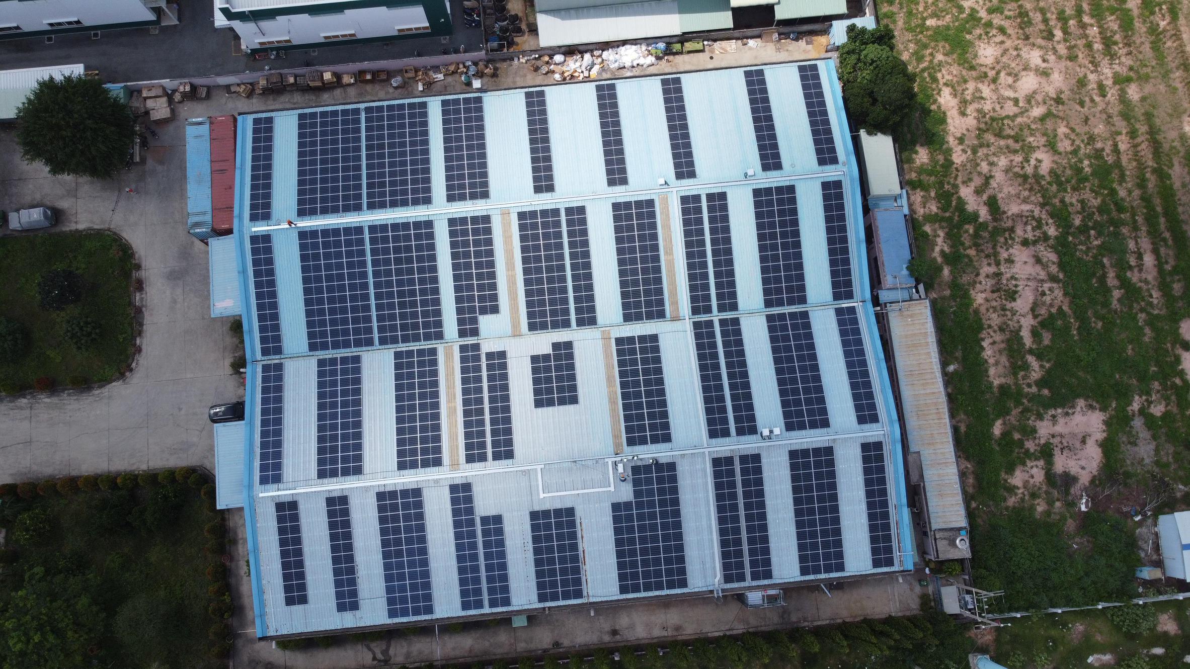 Leitfaden für ethisches Investieren: Wie Sie Ihre Finanzen nachhaltig ausrichten