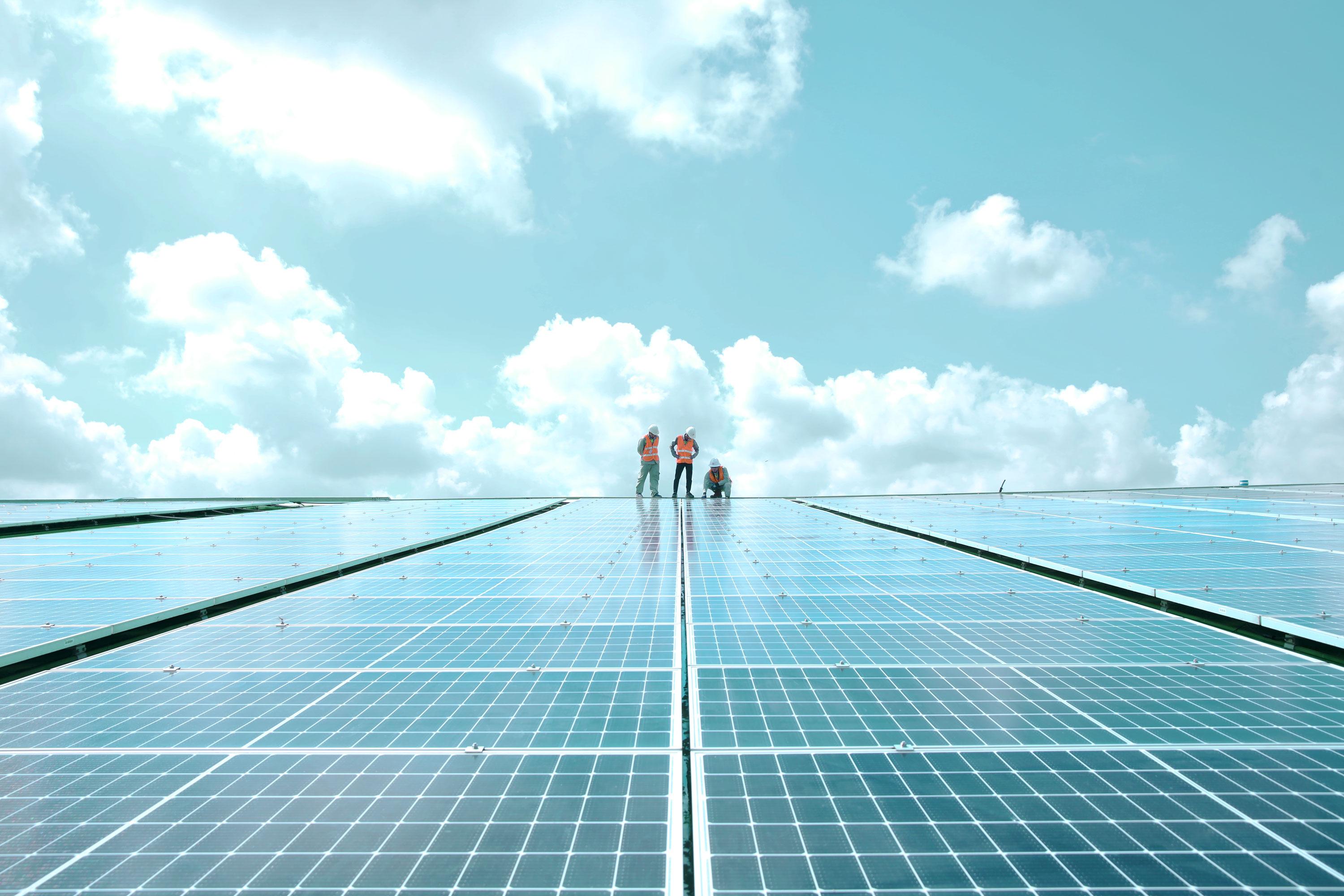 Life Without Plastic: Simple Solutions and First Steps