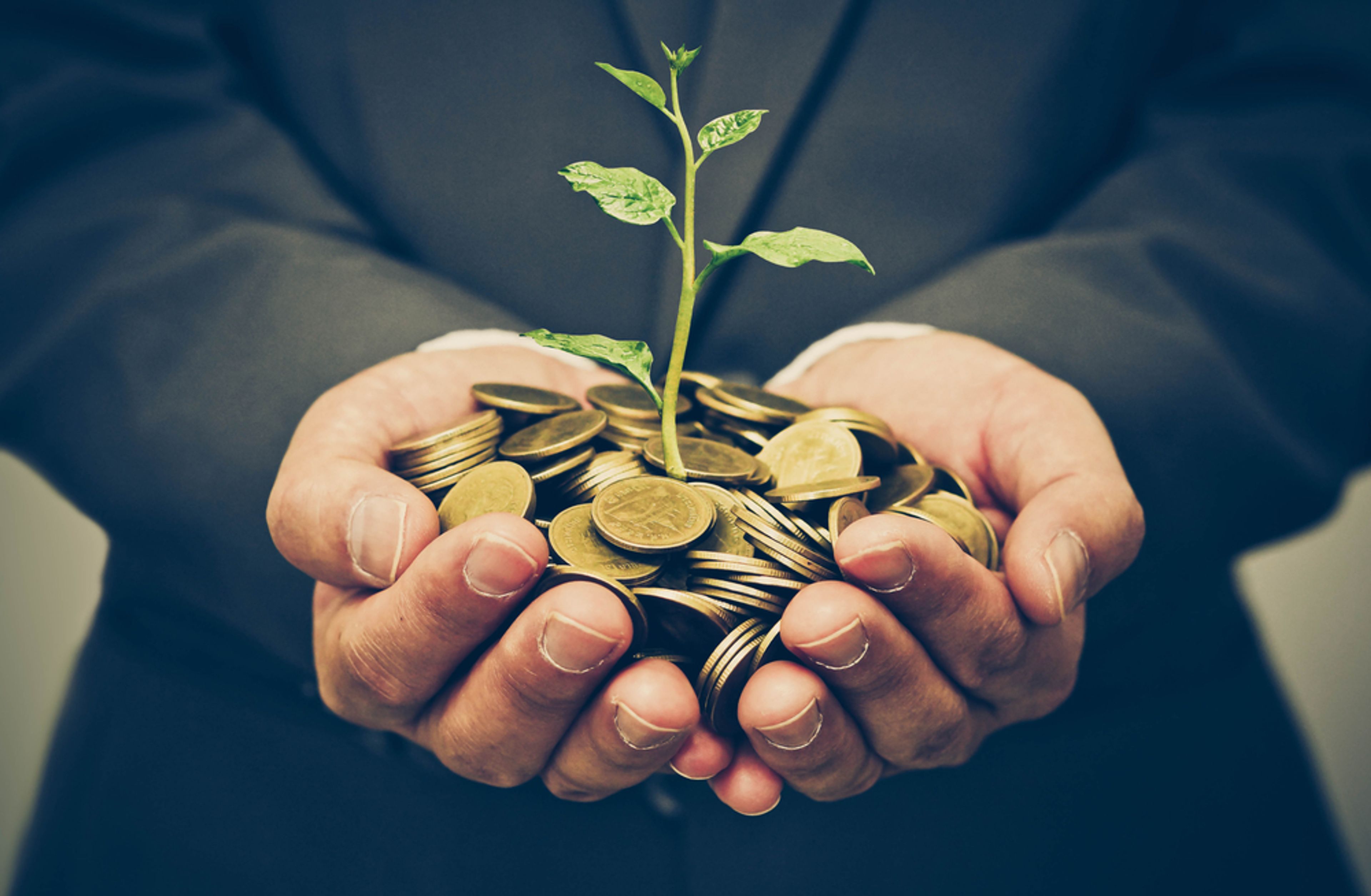 A photo of someone holding a pile of coins with a plant shoot coming out from the centre