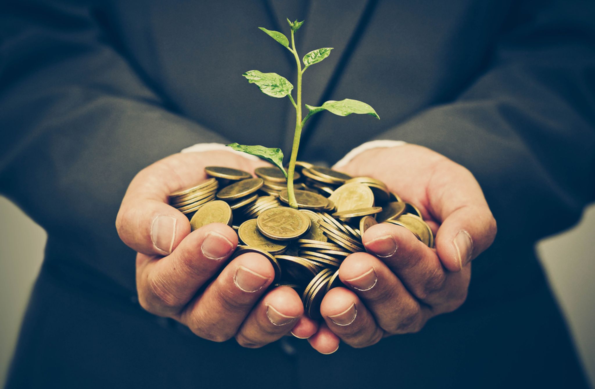 A photo of someone holding a pile of coins with a plant shoot coming out from the centre
