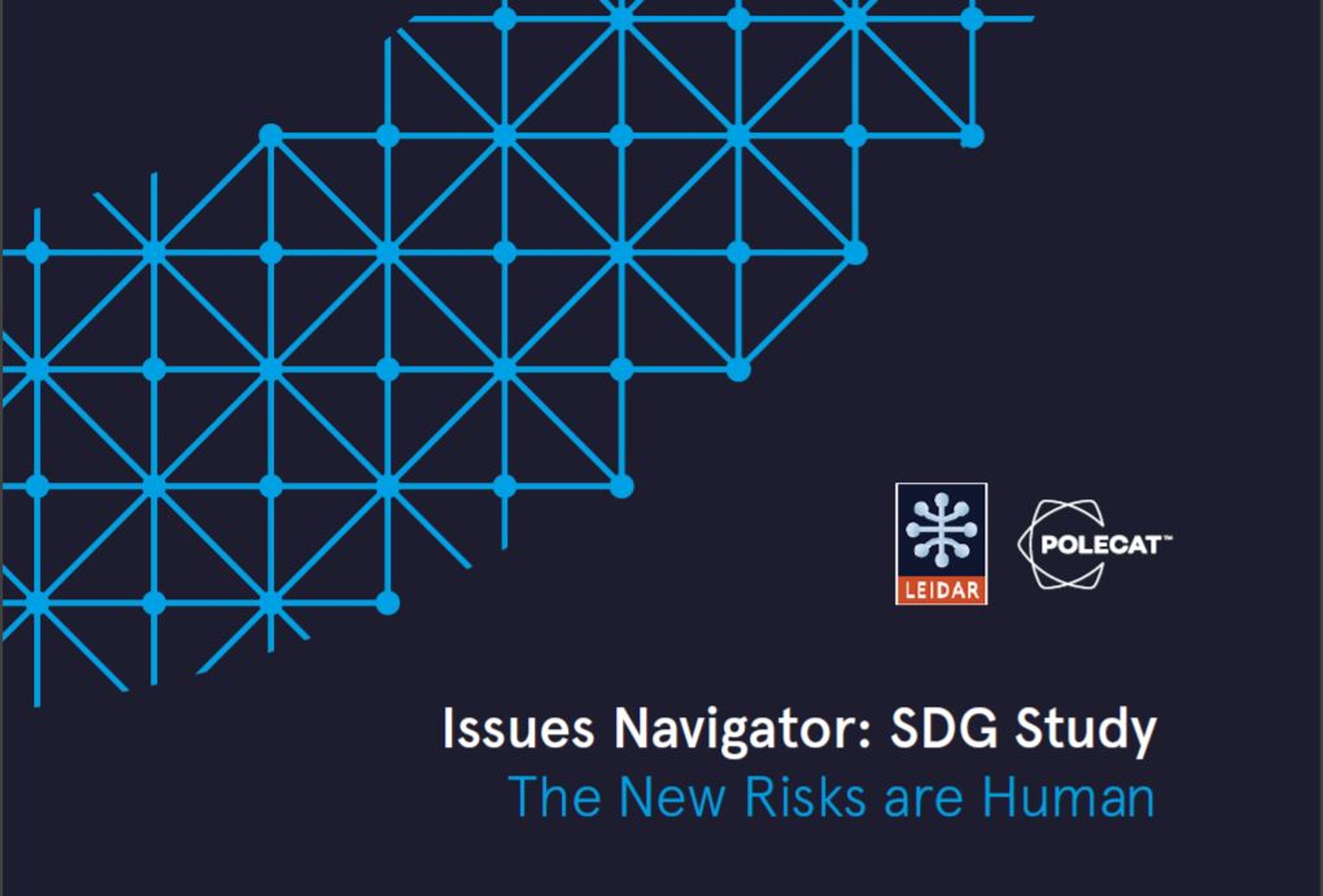 A graphic with the Polecat Logo, the Leidar Logo and the headline: 'Issues Navigator: SDG Study'