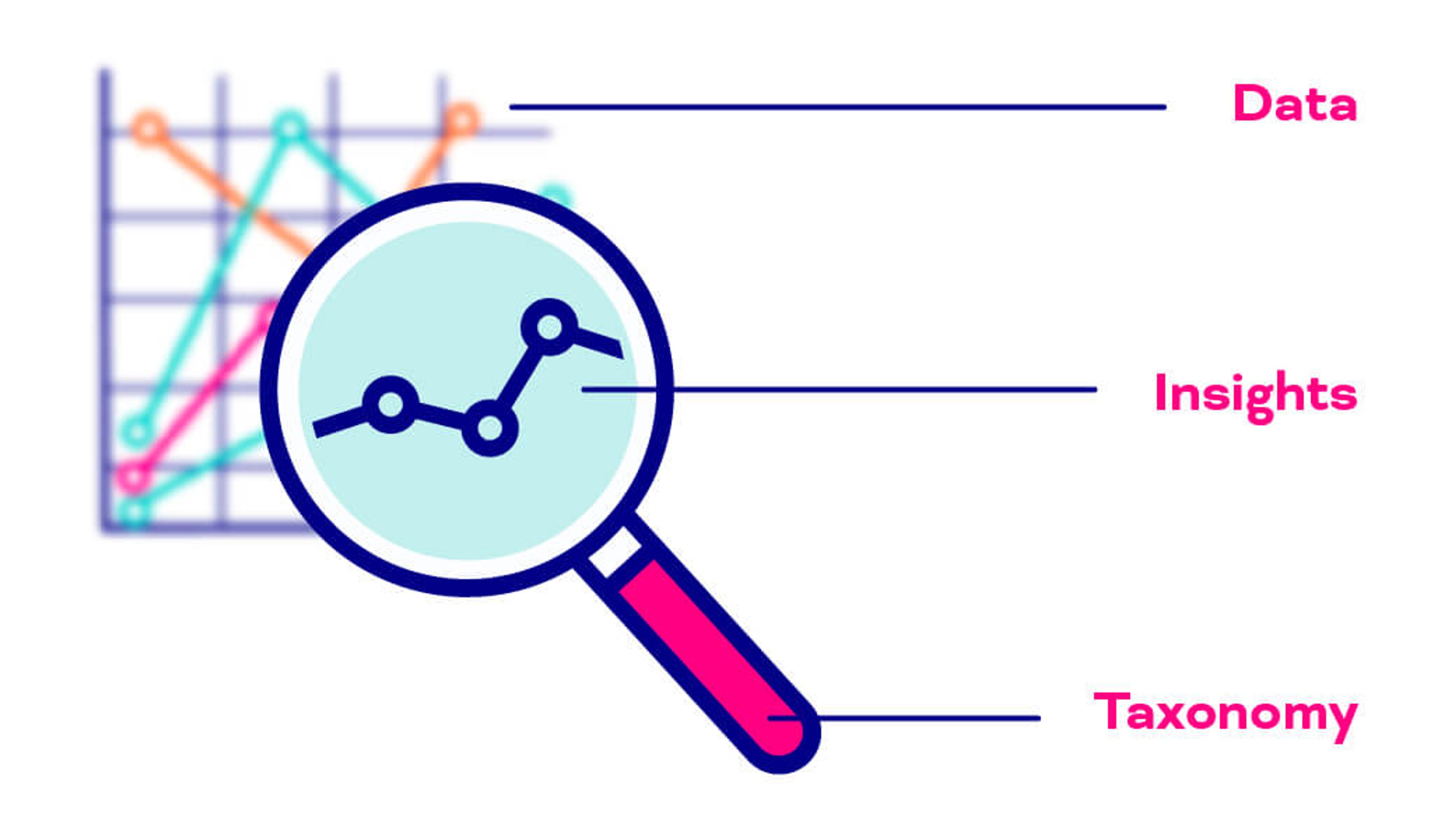 How taxonomies are used?