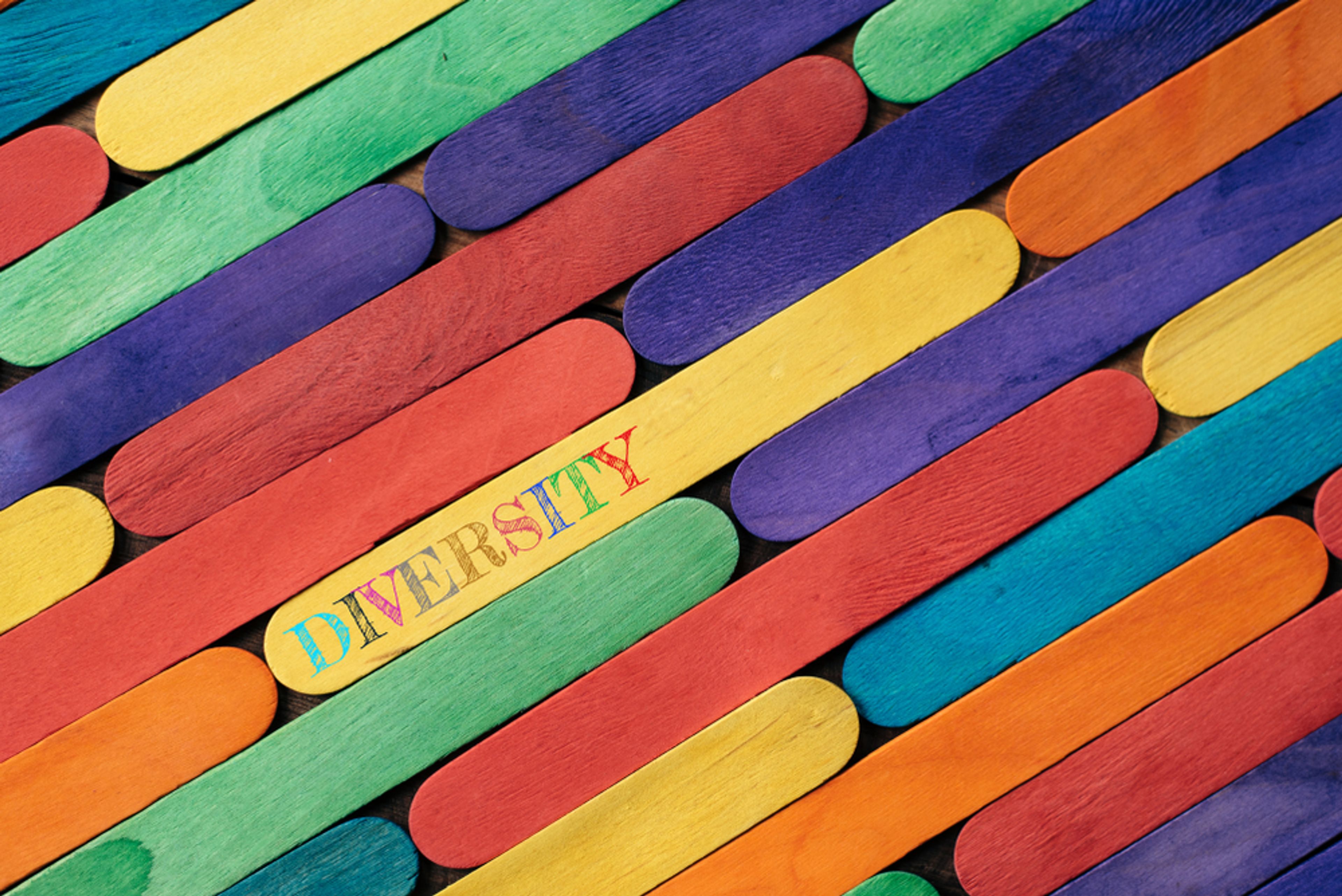 A image of different coloured pieces of wood, with the word 'diversity' printed on one of them