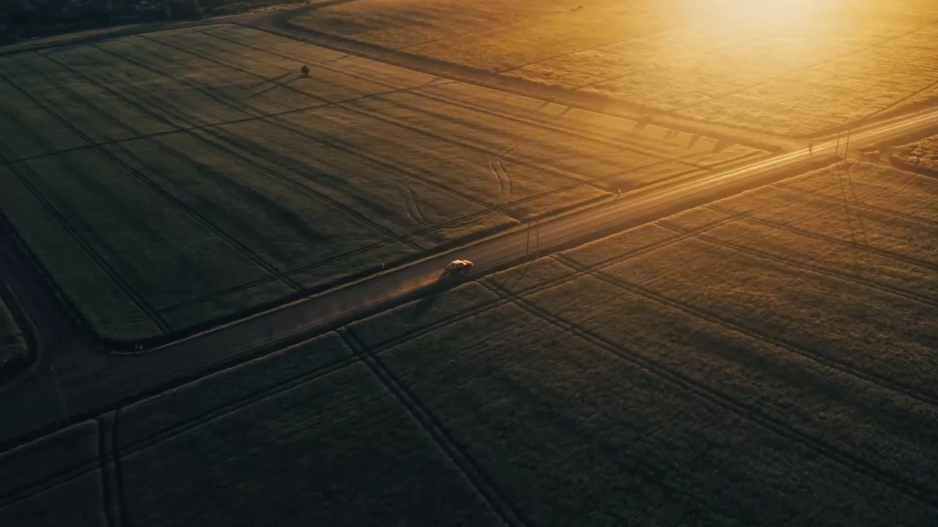 Aerial view of tea-estate fields at golden hour