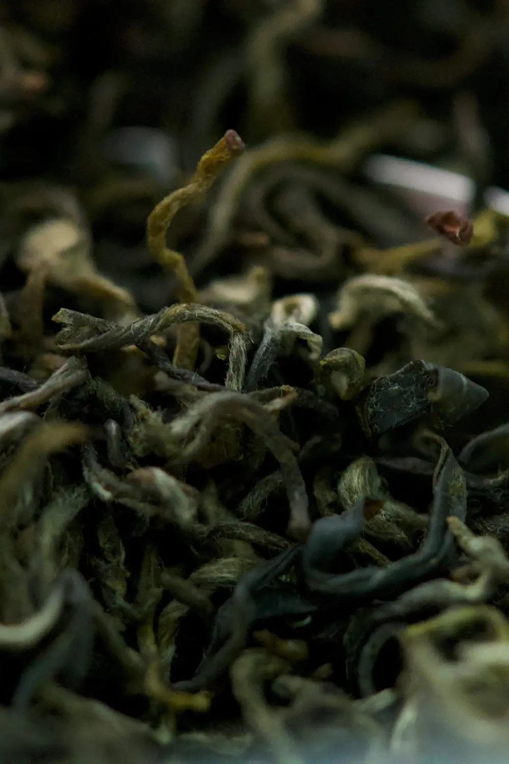 Premium Wuyi Oolong leaf and brewed cup