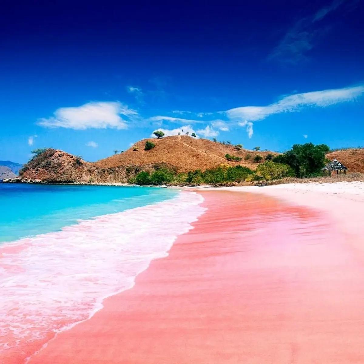 Pantai berpasir pink dengan air biru toska dan bukit kering di Taman Nasional Komodo Labuan Bajo