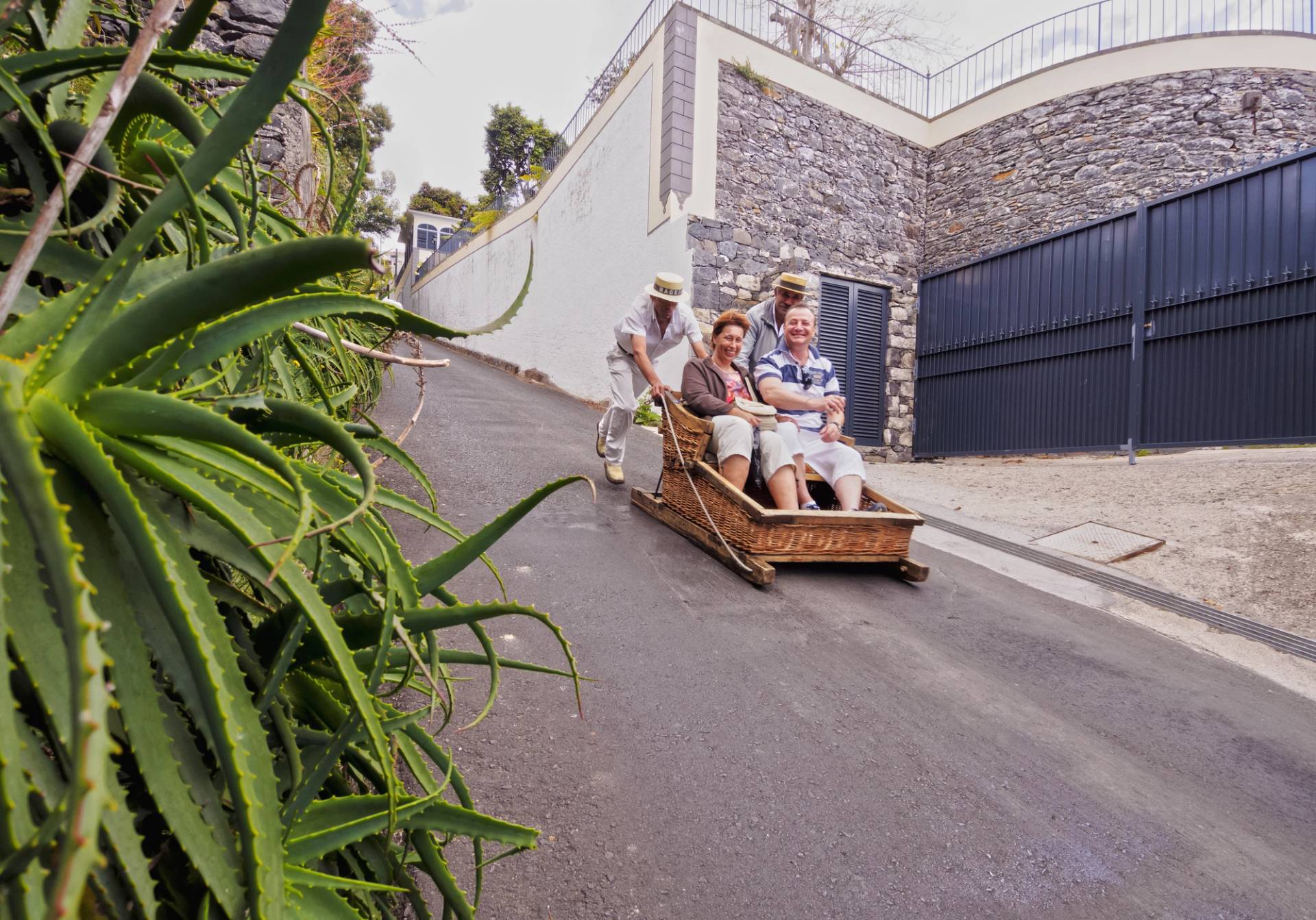 turisti scendono con monte toboggan a madeira