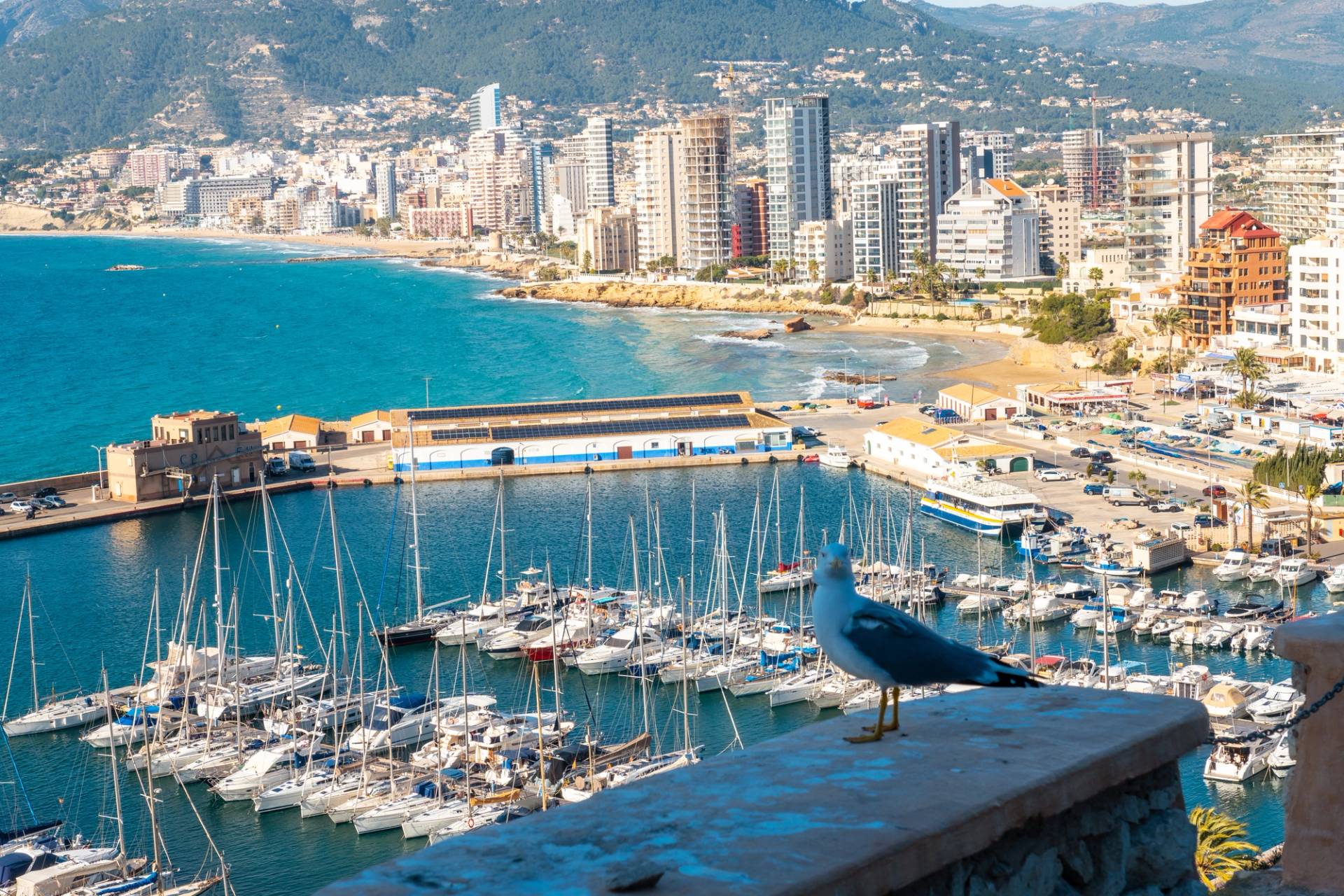 valencia