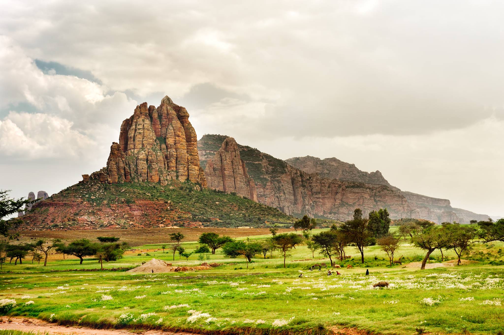 tigray landscape
