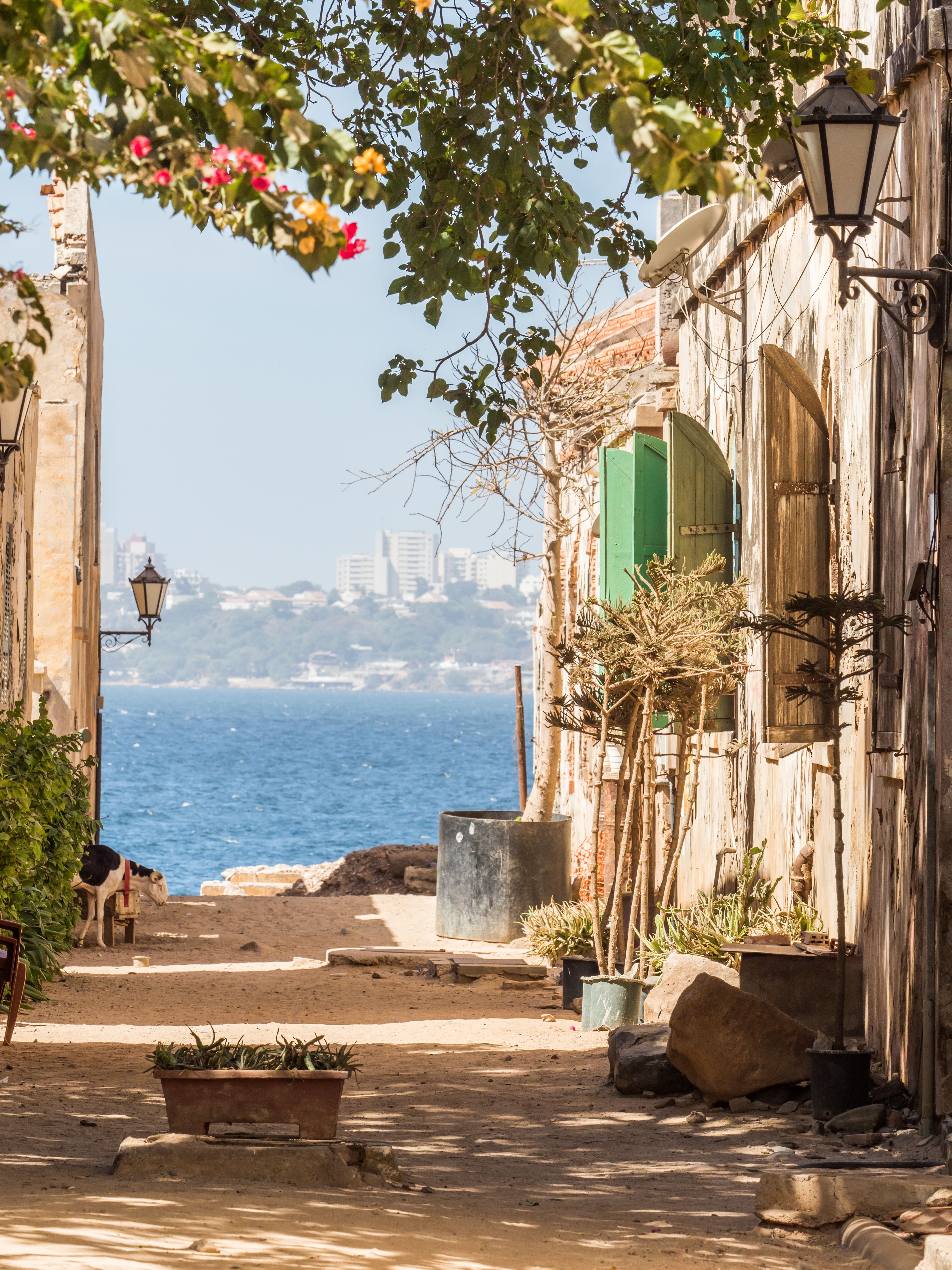 coastal city of Senegal
