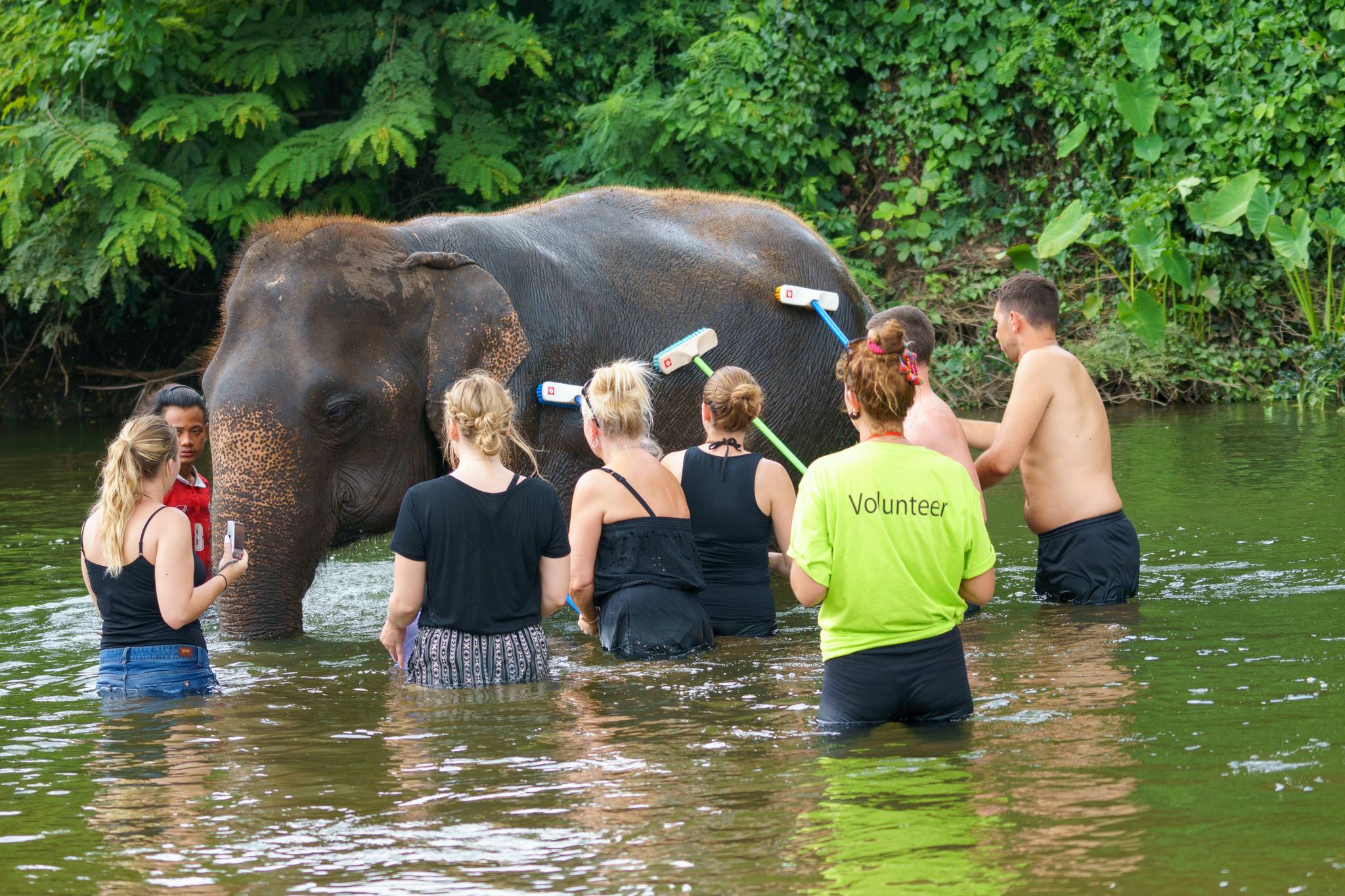 chiang mai