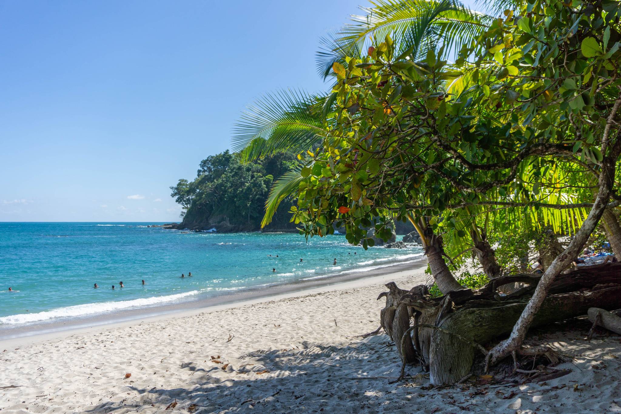 spiaggia manuel antonio