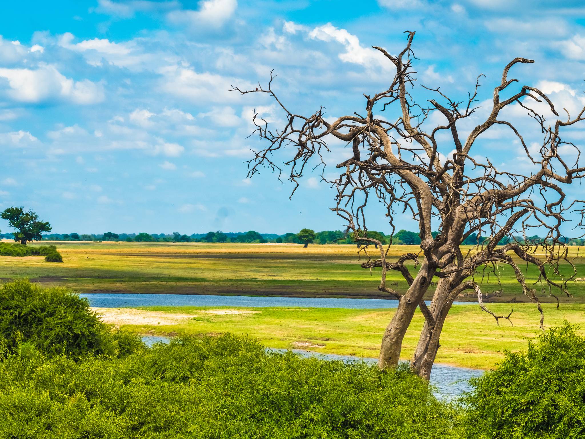 Avventura in Sudafrica e Botswana cover