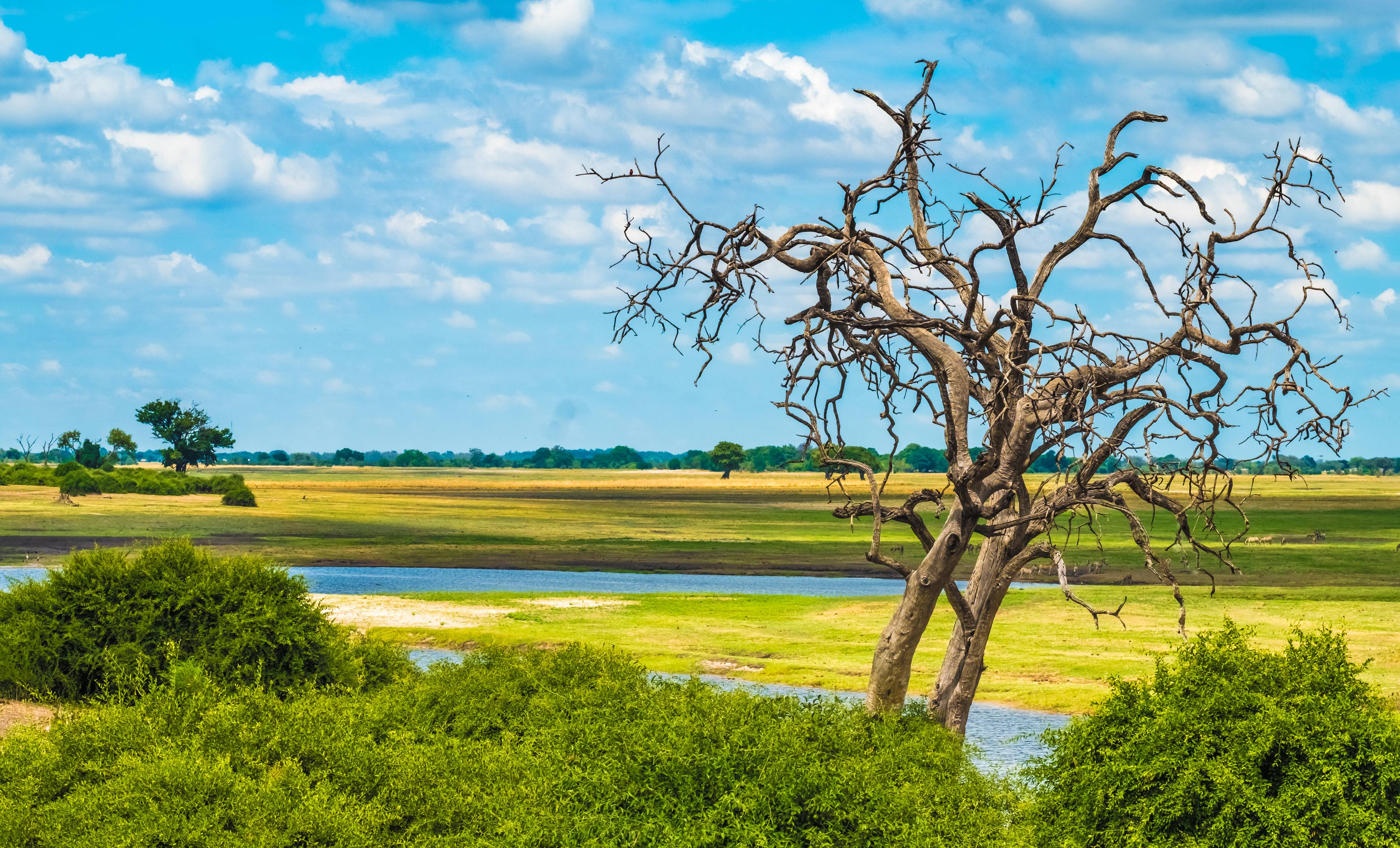 Avventura in Botswana, Namibia e Zimbabwe cover