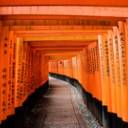 Tour del Giappone: Tokyo, Kyoto, Nara e Alpi Giapponesi