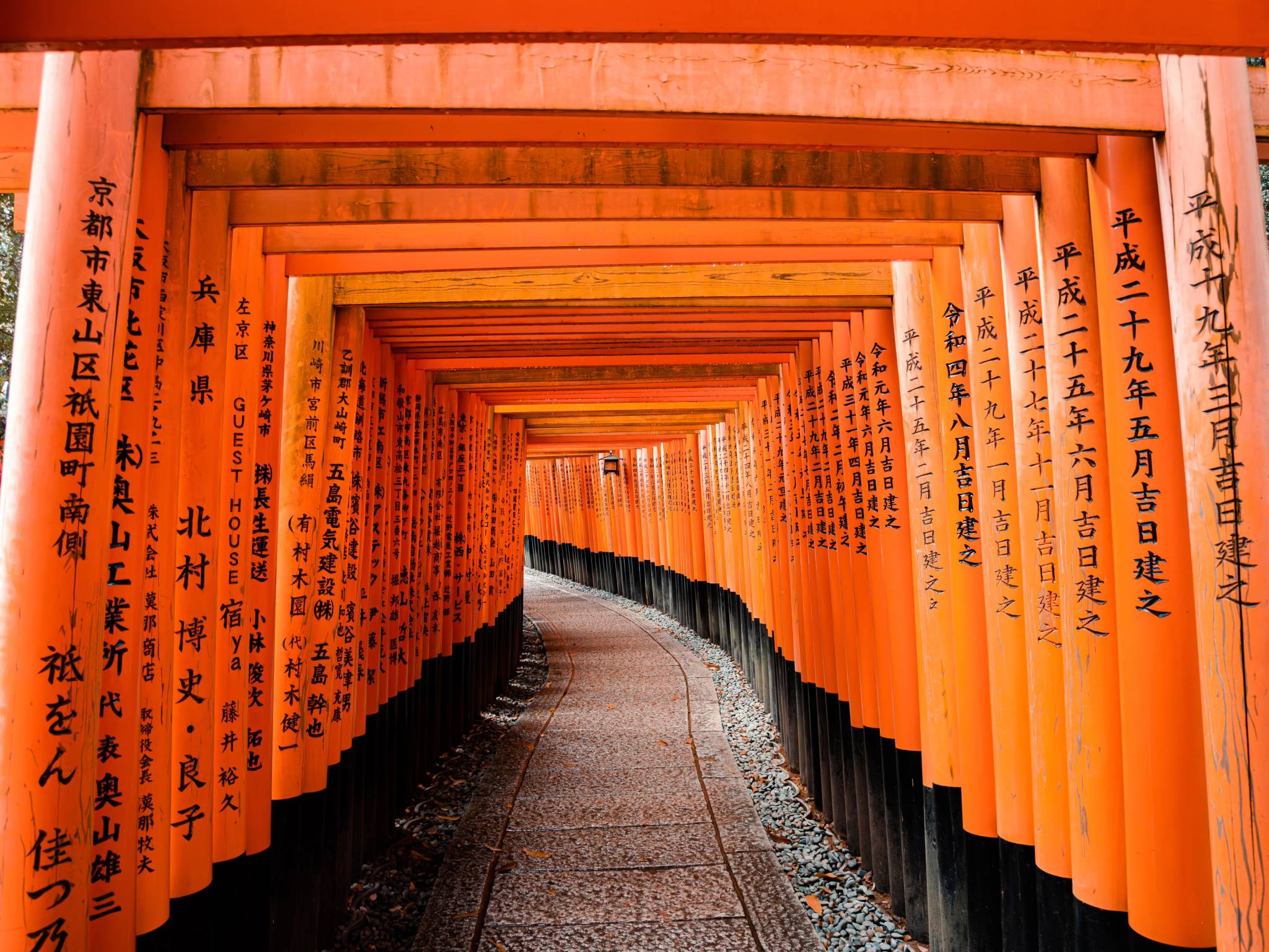 Tour del Giappone: Tokyo, Kyoto, Nara e Alpi Giapponesi cover