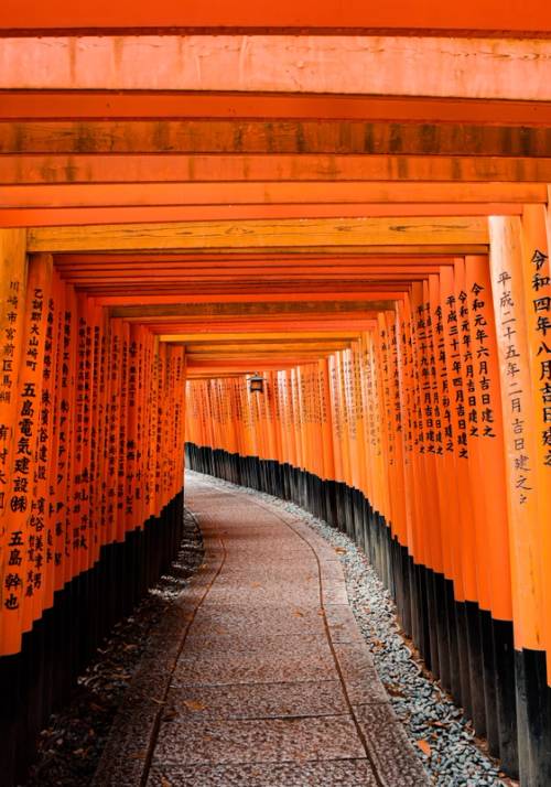 fushimi Inari