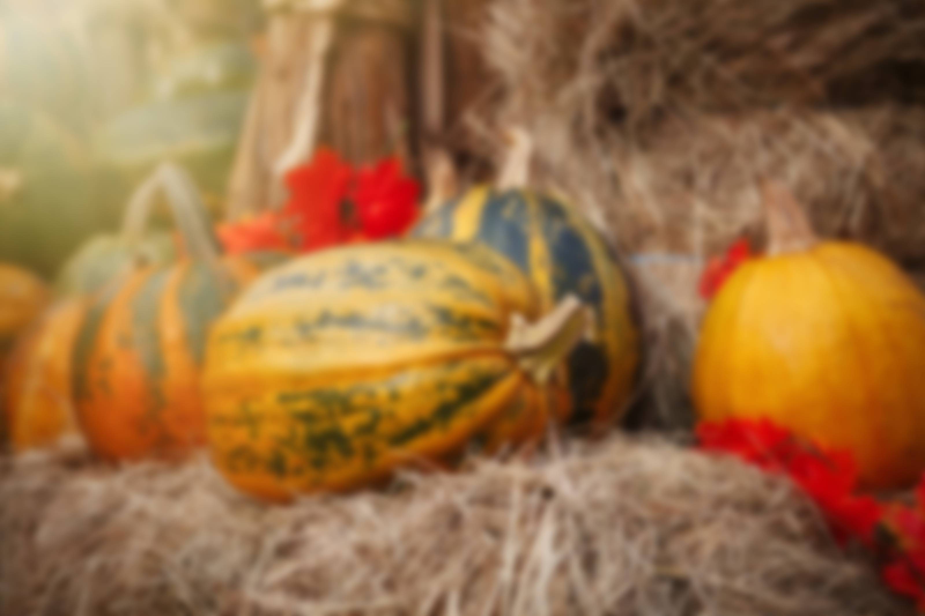 organized trips in October