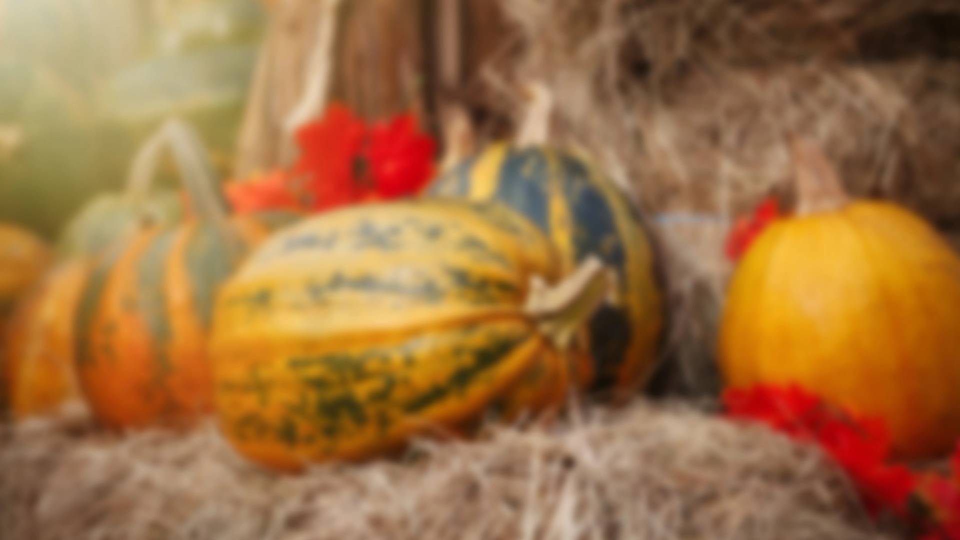 organized trips in October