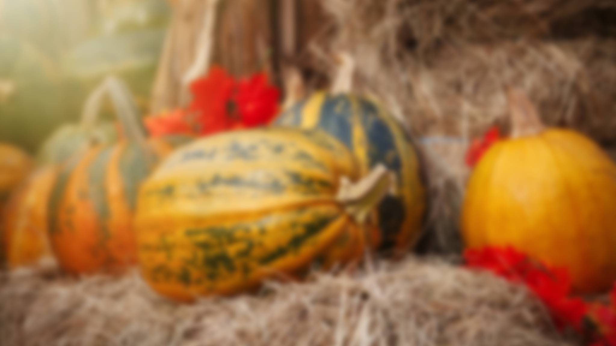 viaggi organizzati a ottobre