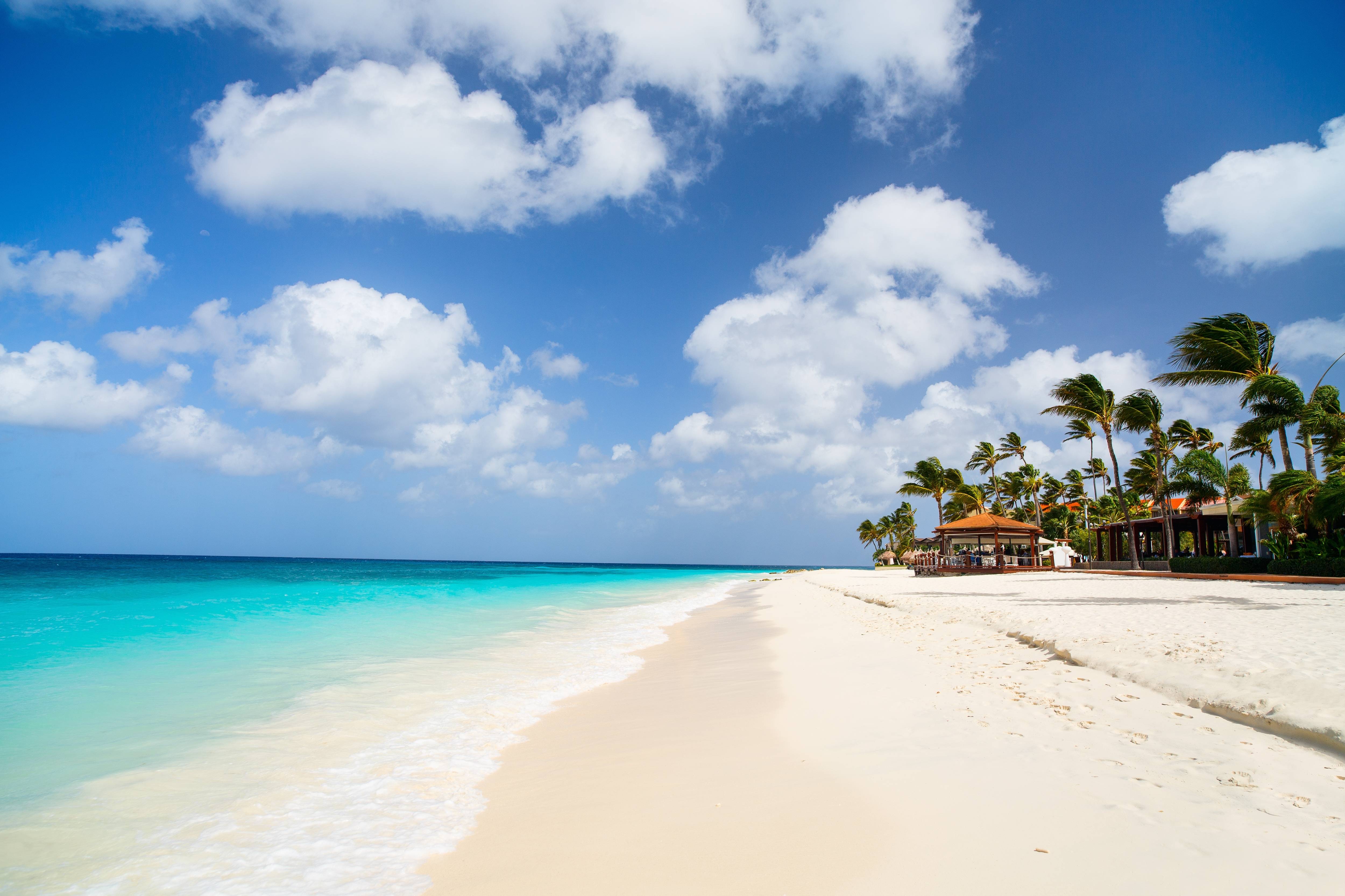 spiaggia tropicale aruba