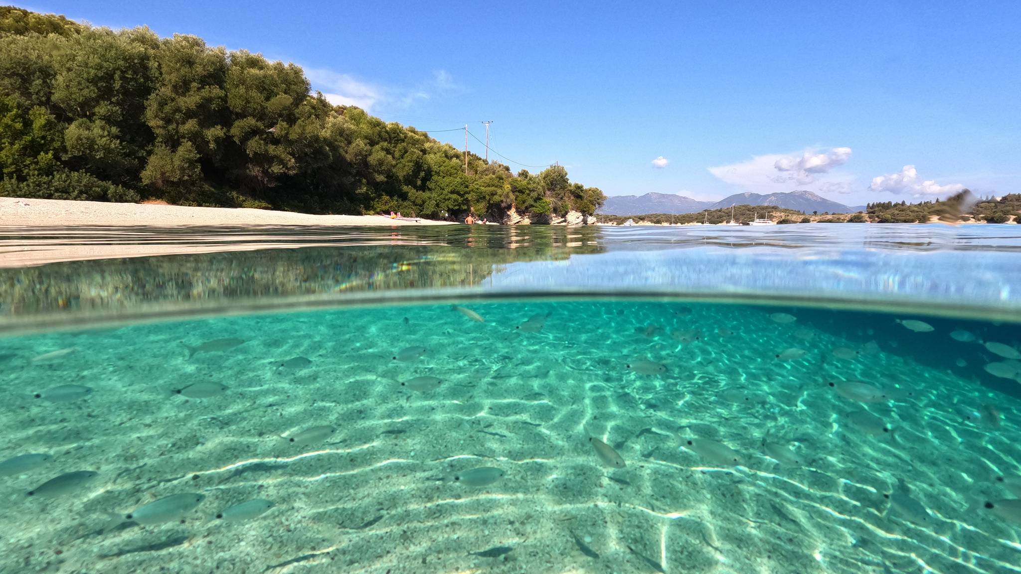 mare petriti grecia