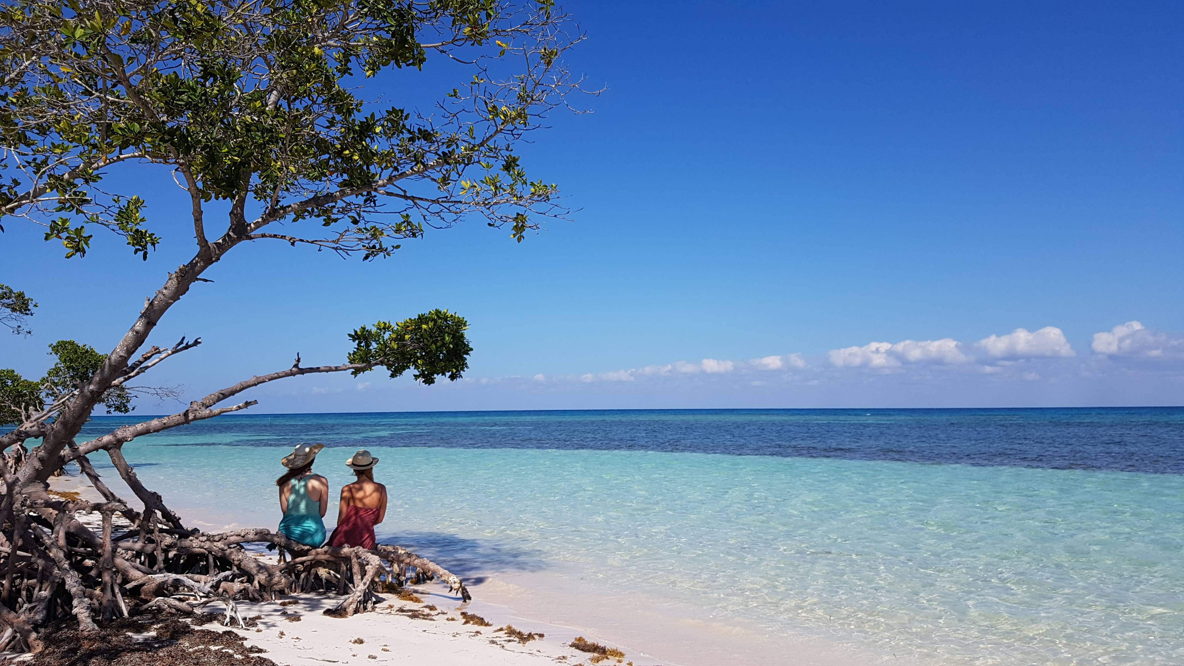 cayo jutias