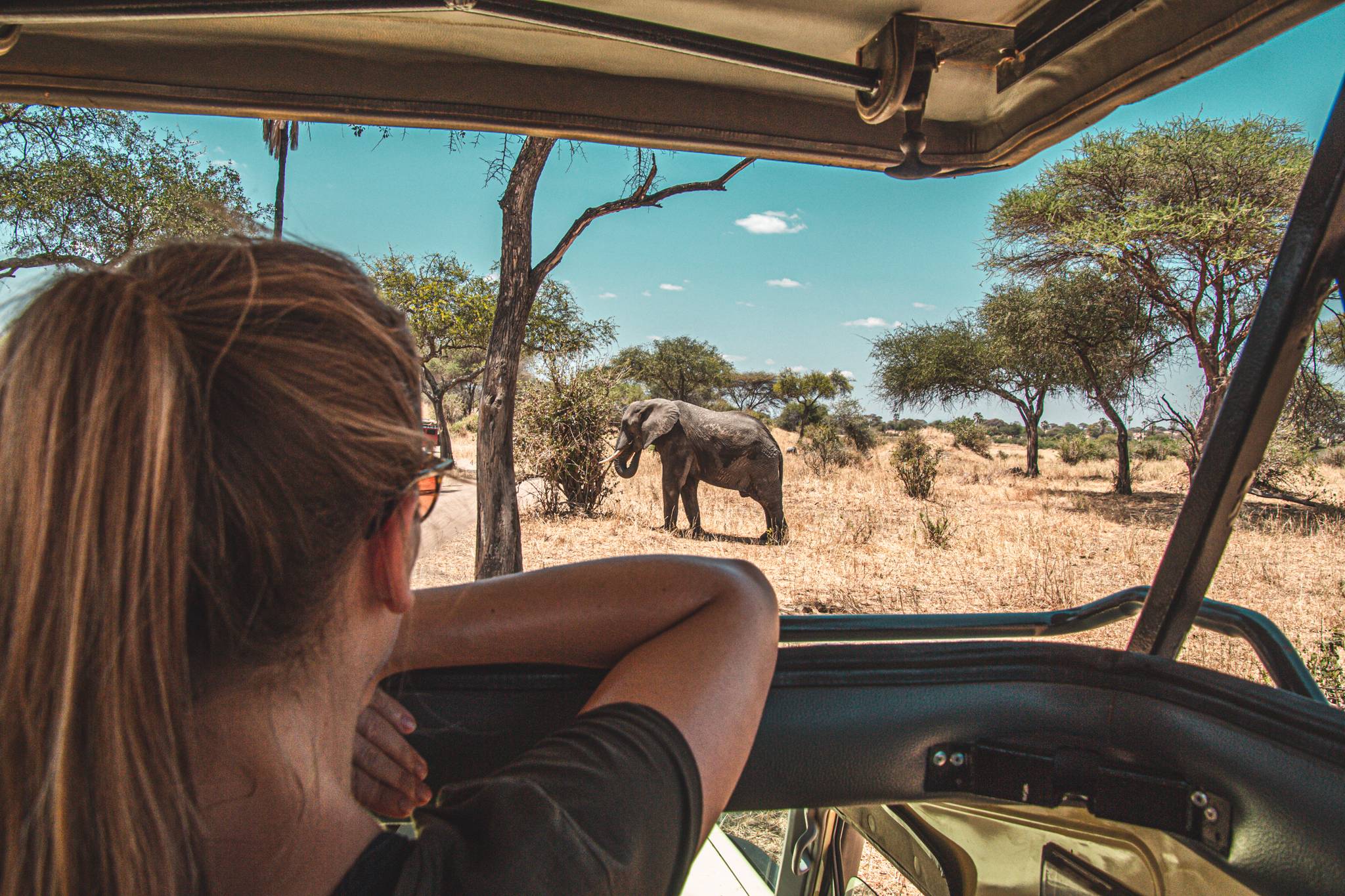 ragazza in safari in africa