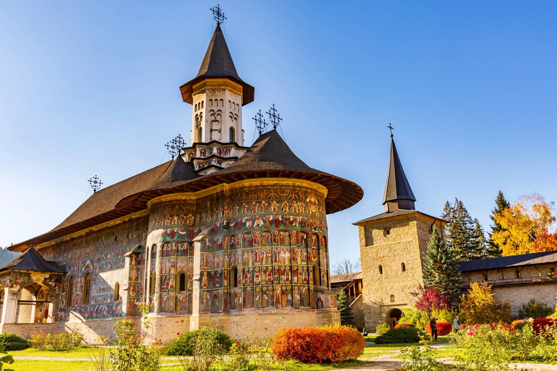 bucovina
