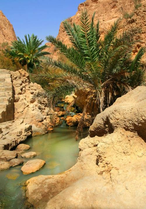 oasi di montagna a tozeur in tunisia