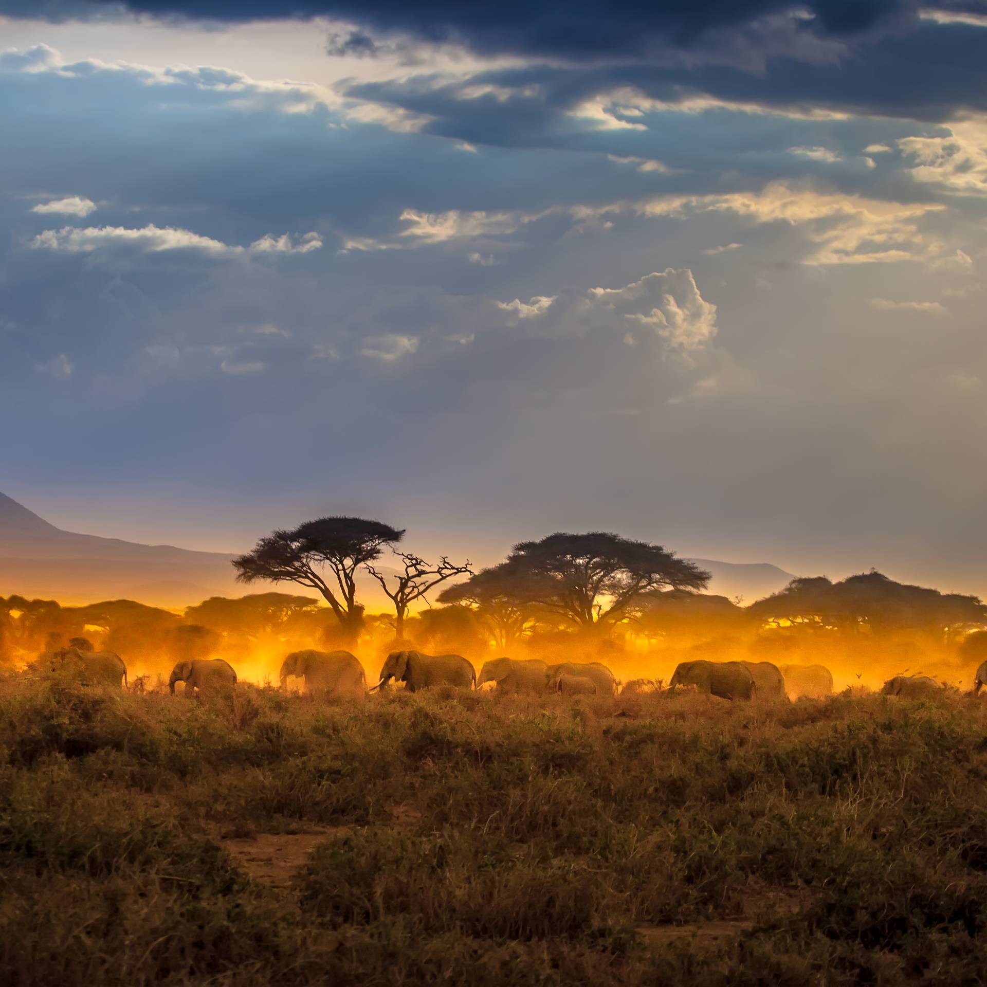 Sognando il Kenya tra savane e grandi parchi