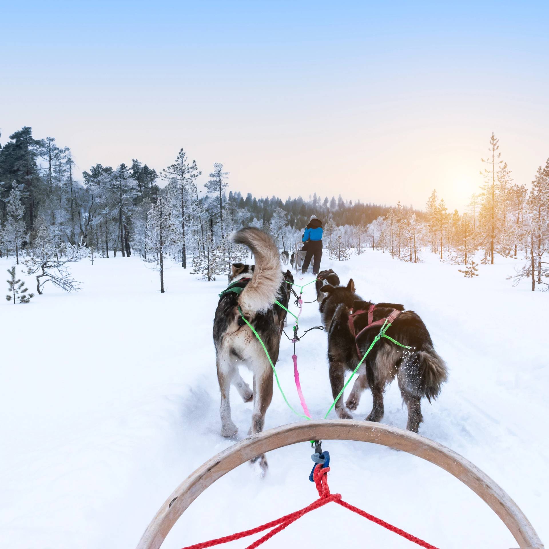 Tour in Lapponia nel villaggio Saariselkä