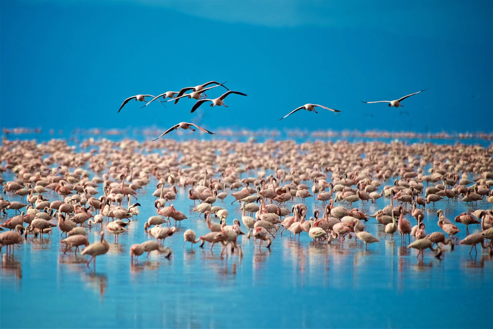 lake manyara