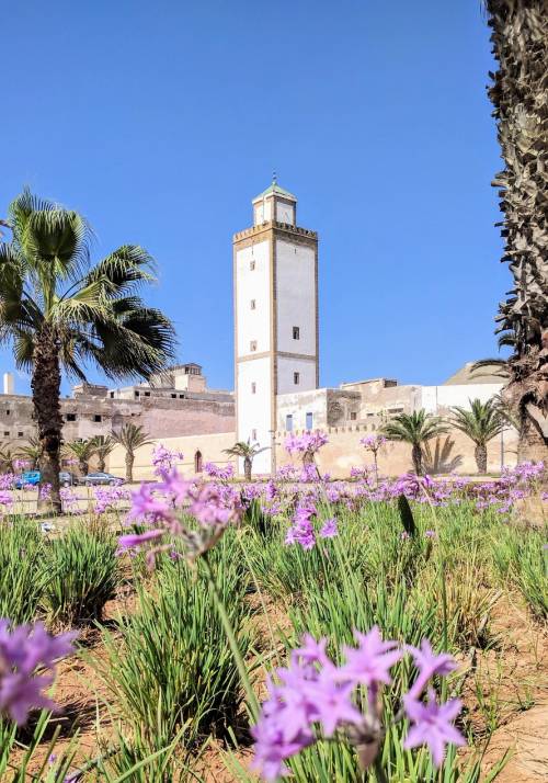 Essaouira