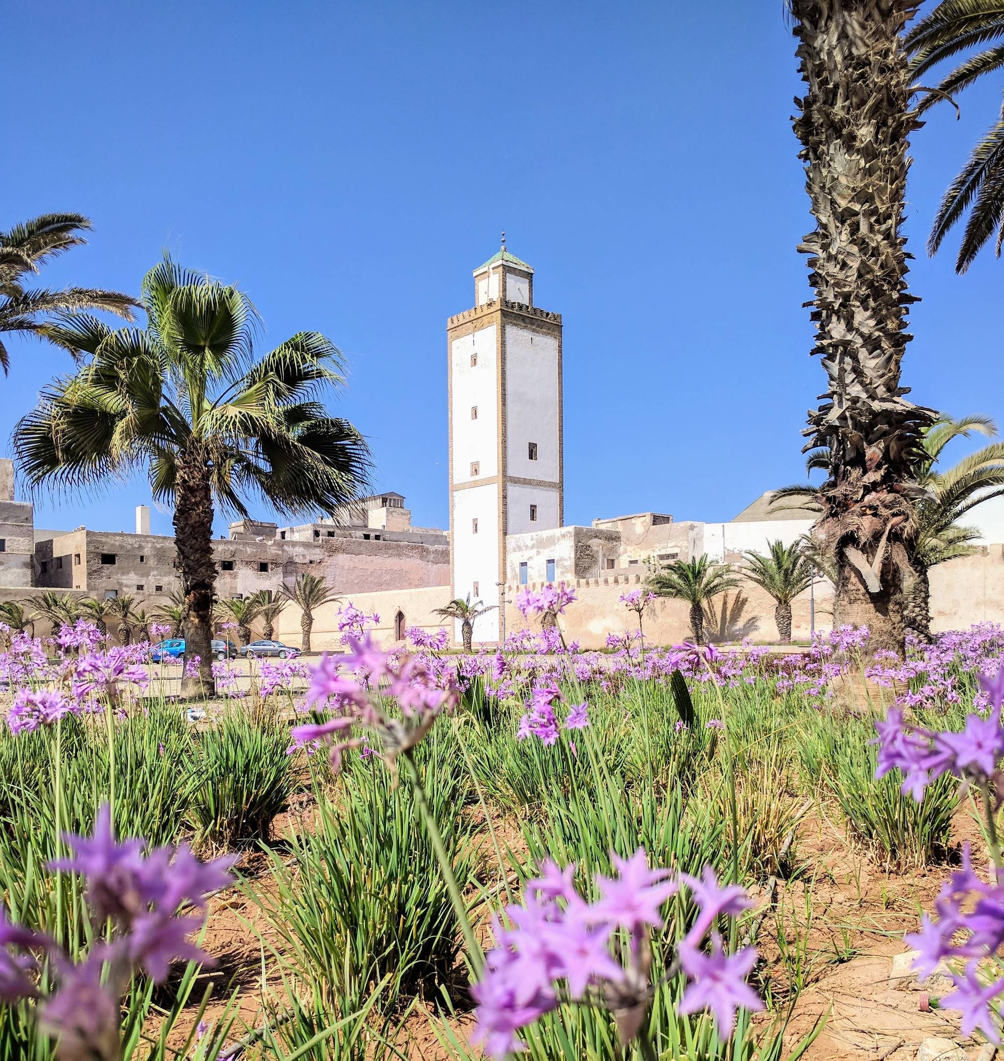 essaouira