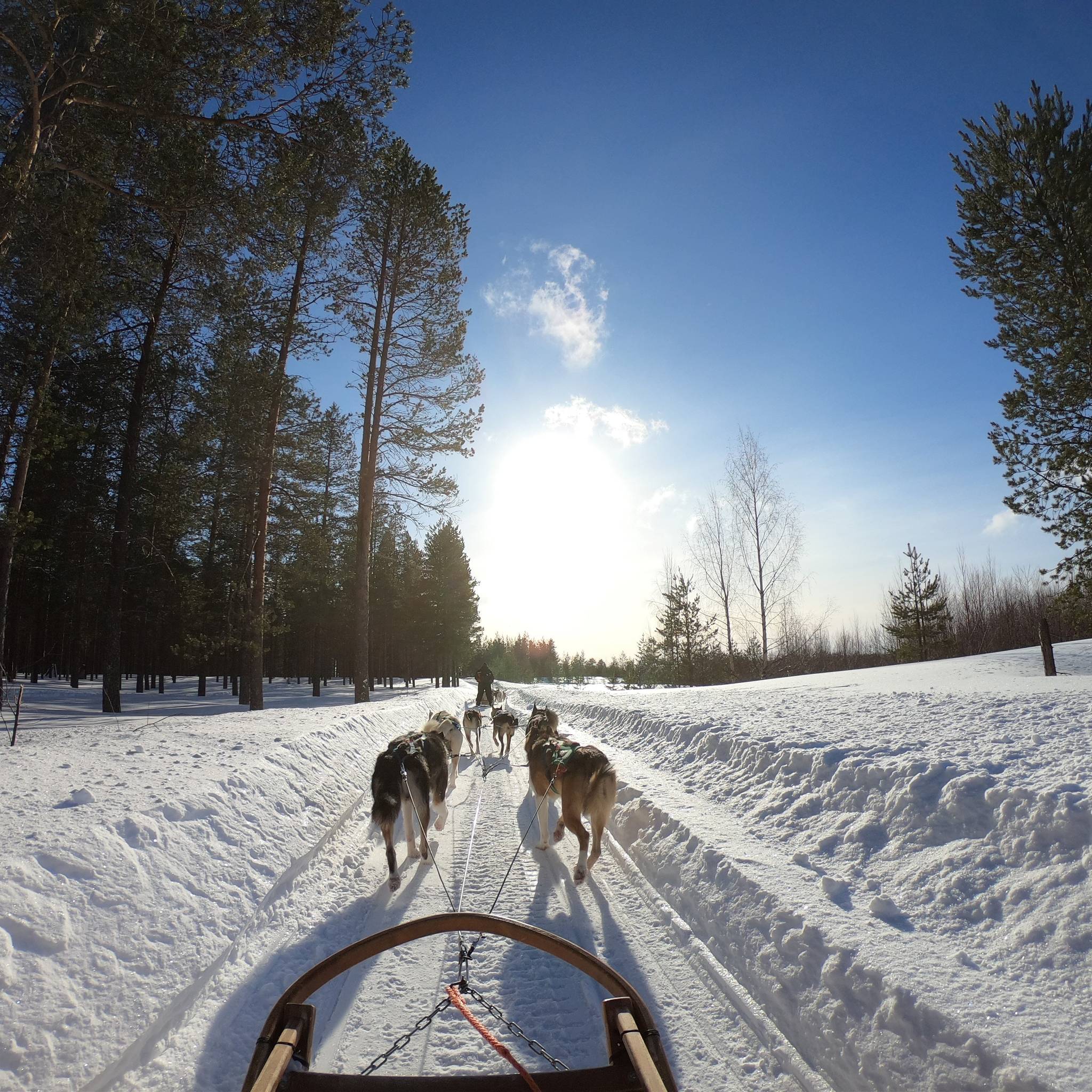 Rovaniemi evasione d’inverno