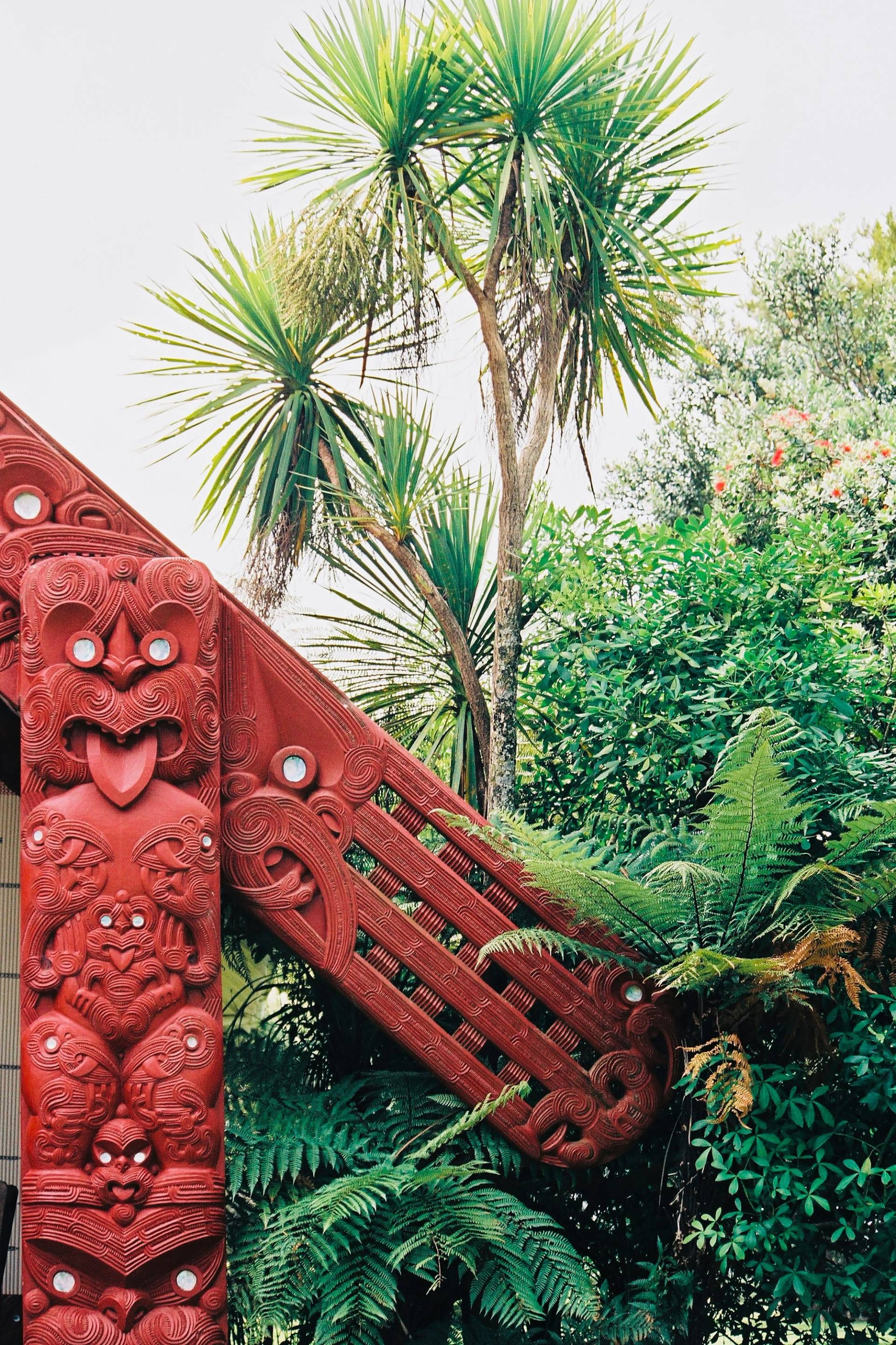 cultura maori
