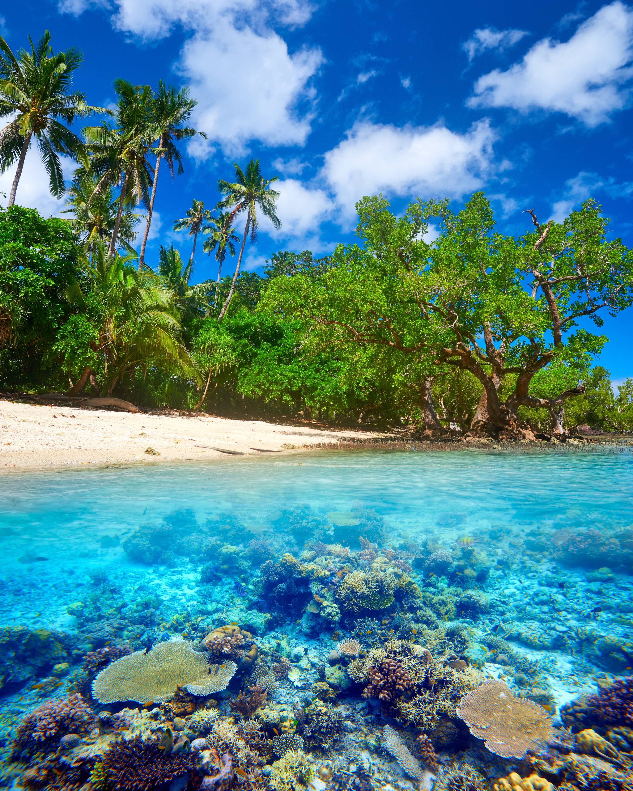 costa dell isola di gili