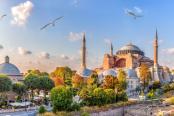 moschea istanbul con gabbiani in volo