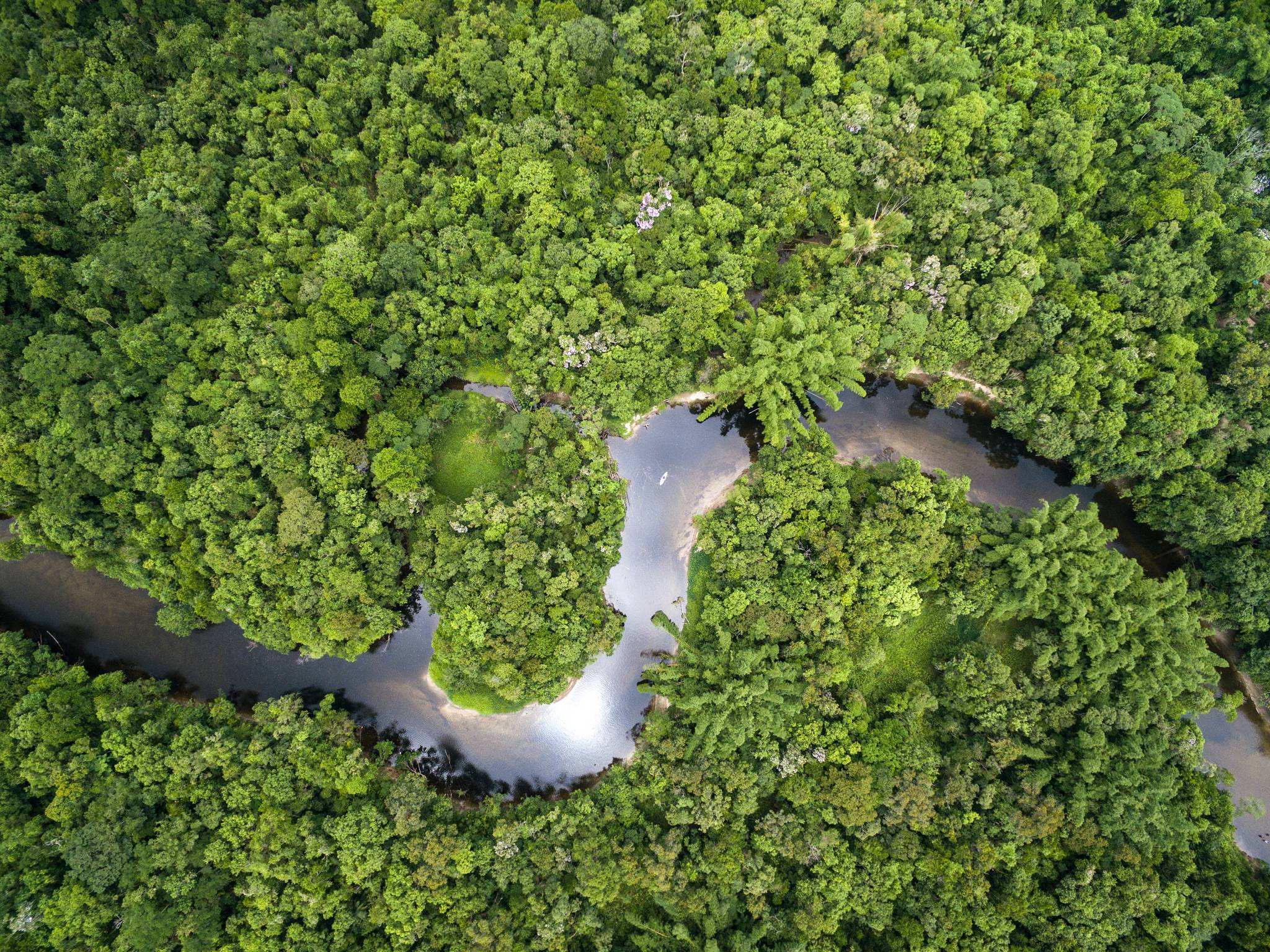 foresta amazzonica peru