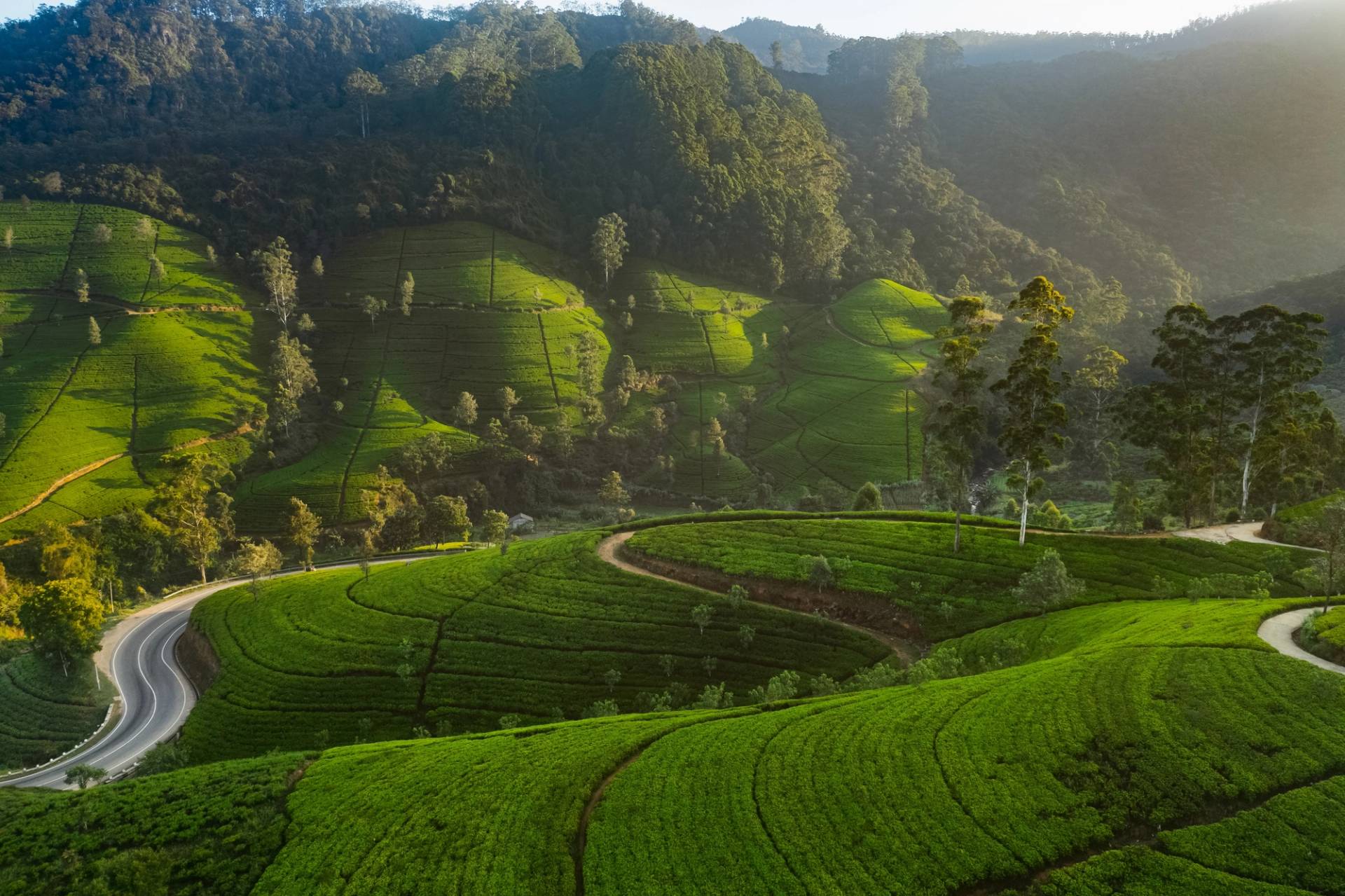 sri lanka