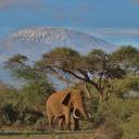 Avventura e relax in Kenya