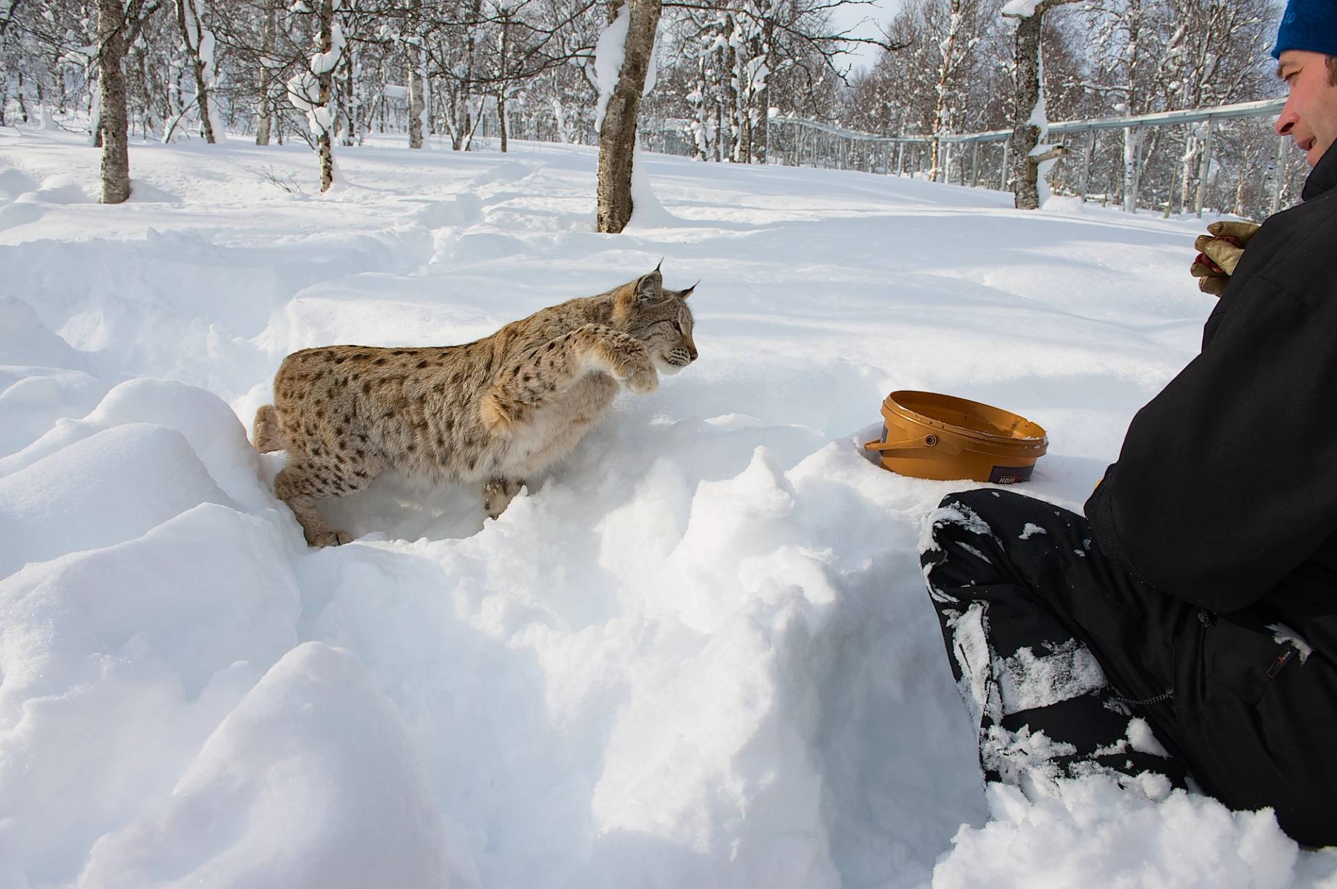 bardu polar park